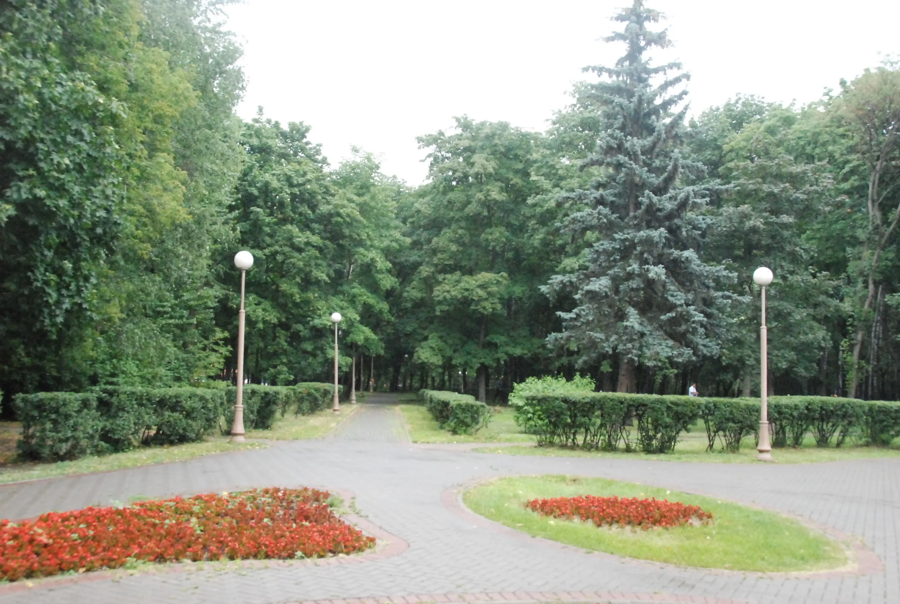 Парк, березы и лавка-колода, фото 12