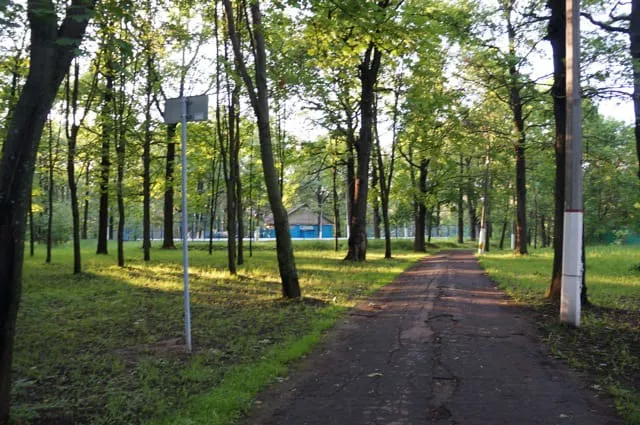 Парк с извилистой тропой, фото 10