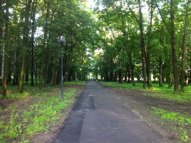 Парк с извилистой тропой, фото 15
