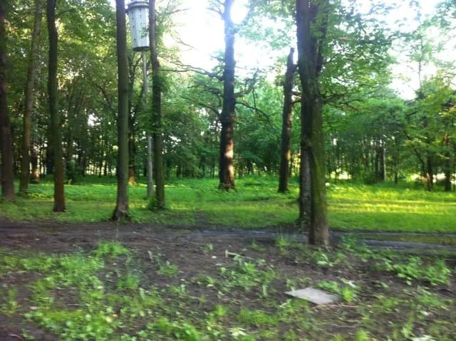 Парк с извилистой тропой, фото 16