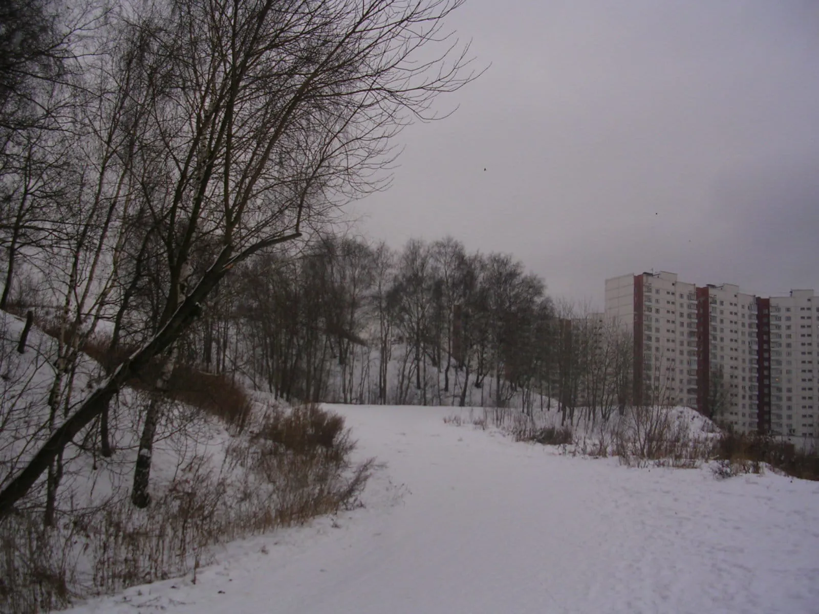 Парк у многоэтажек, фото 2