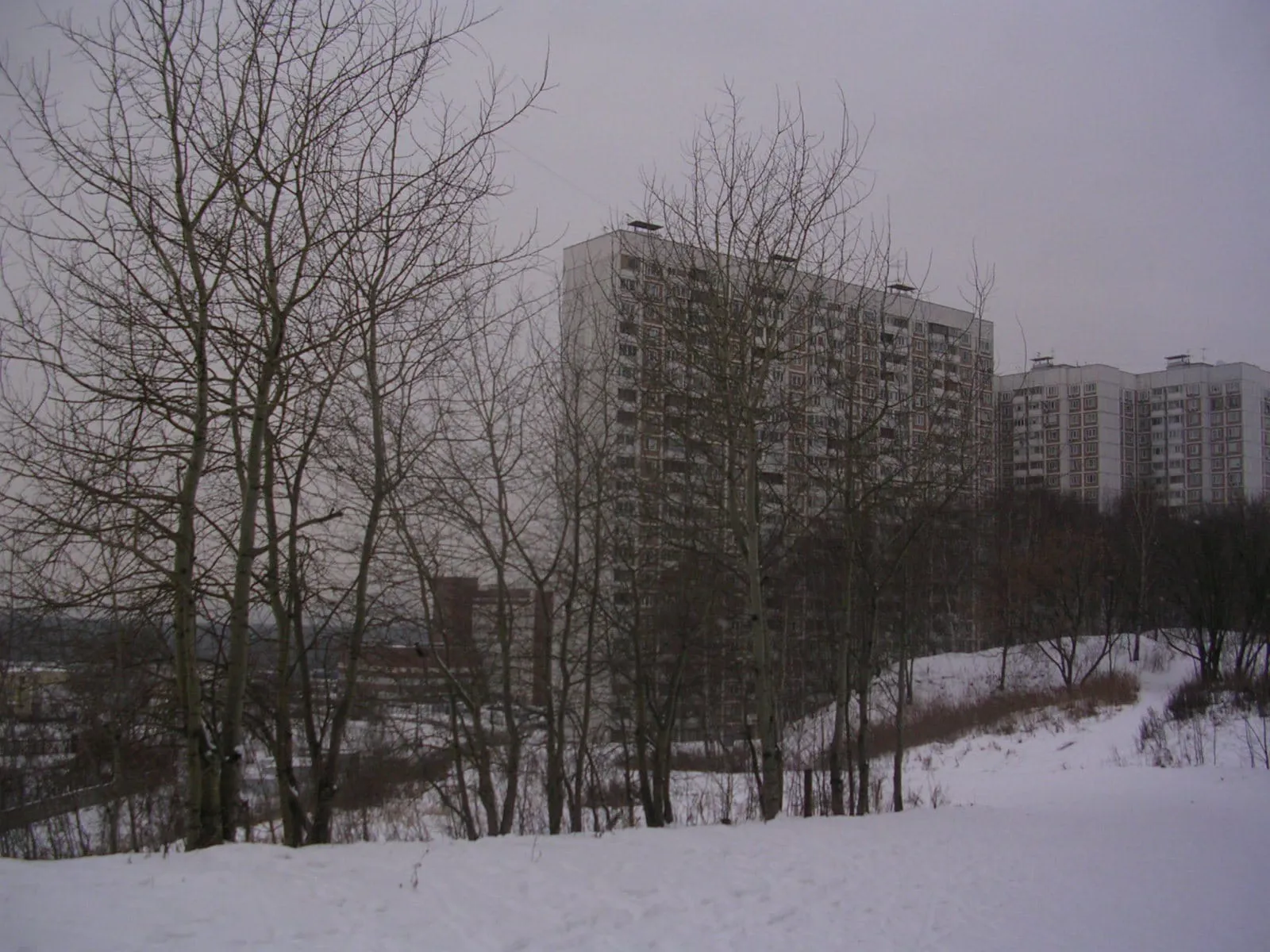 Парк у многоэтажек, фото 6