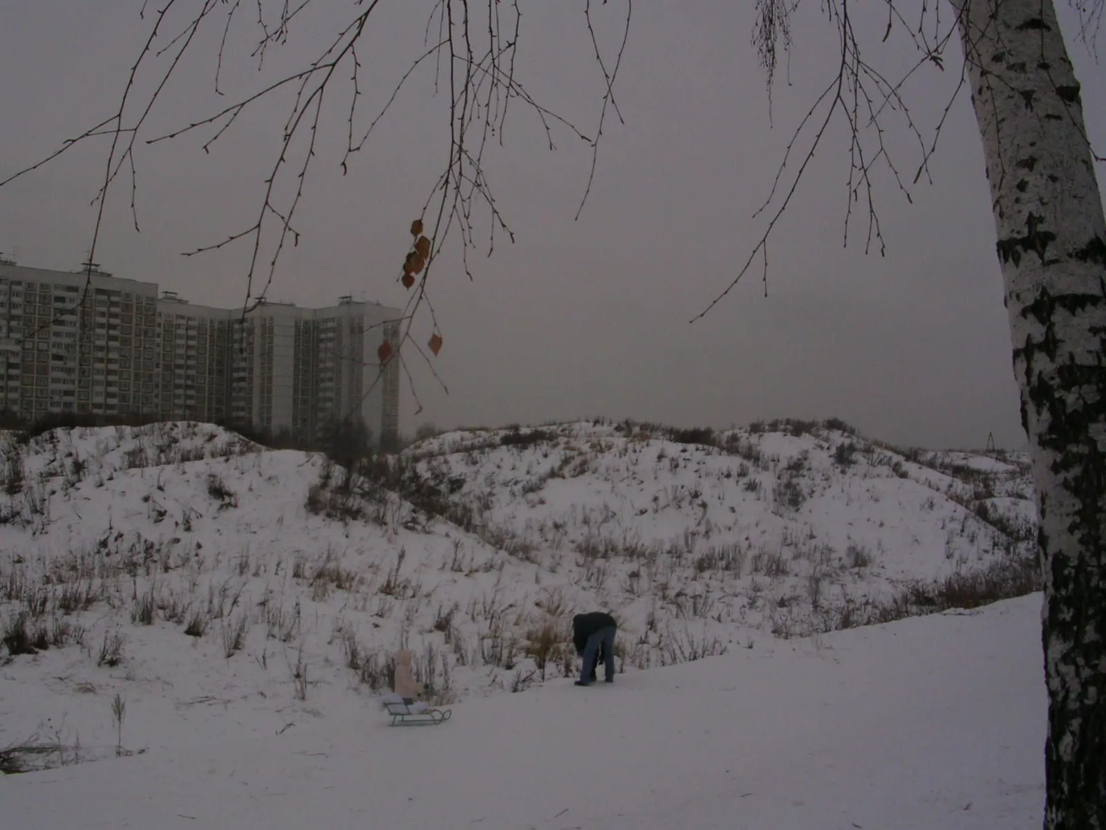 Парк у многоэтажек, фото 18