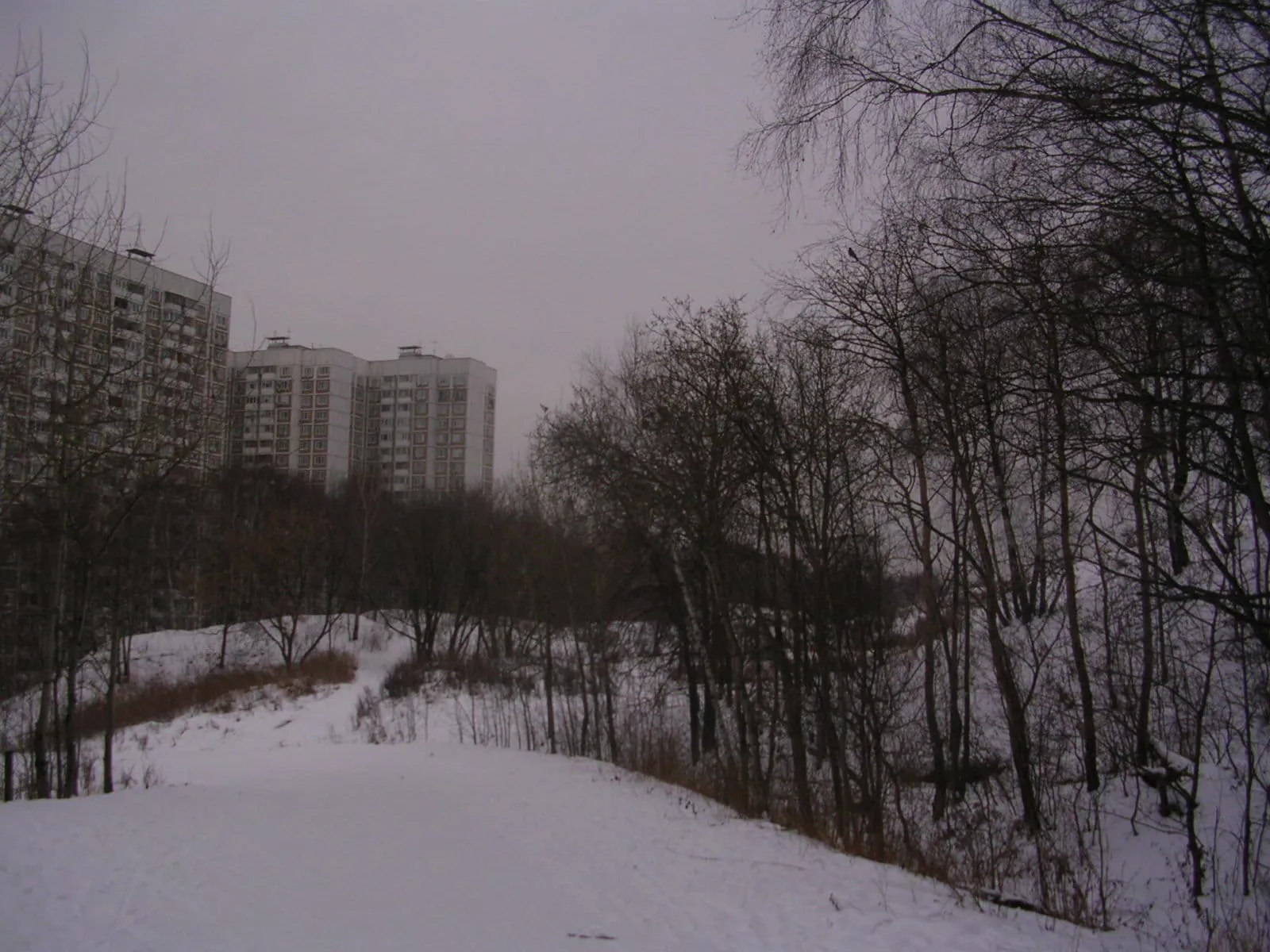 Парк у многоэтажек, фото 7