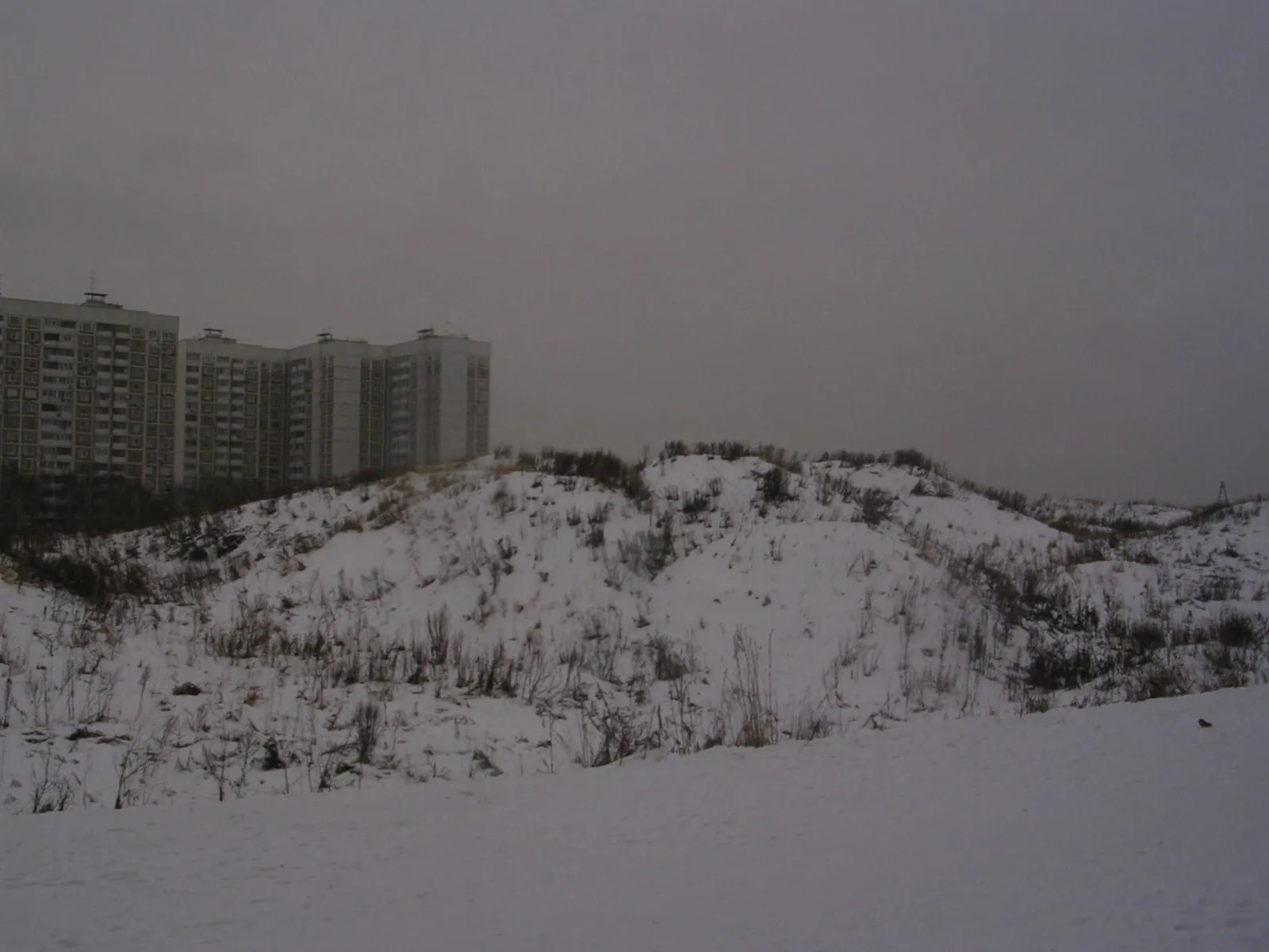 Парк у многоэтажек, фото 23