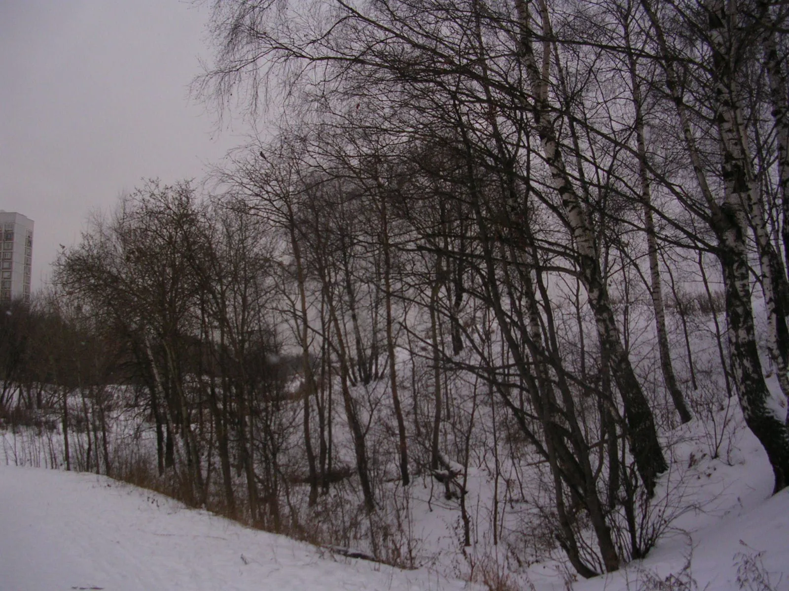 Парк у многоэтажек, фото 8