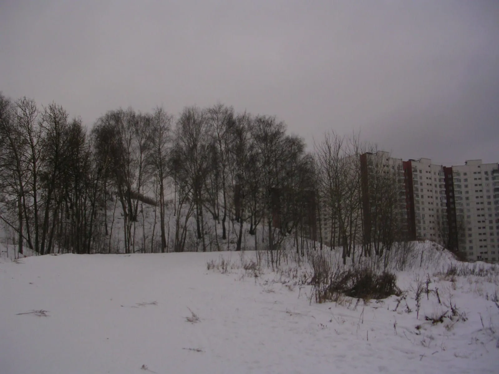 Парк у многоэтажек, фото 4