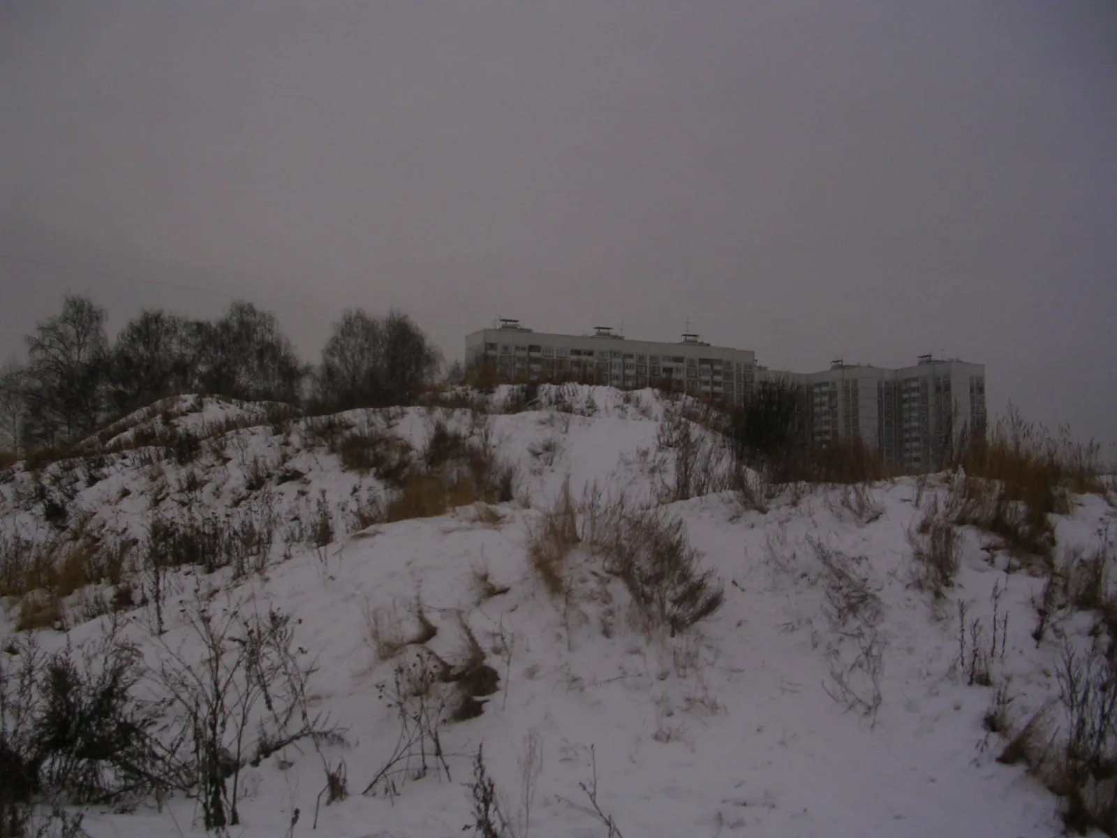 Парк у многоэтажек, фото 13