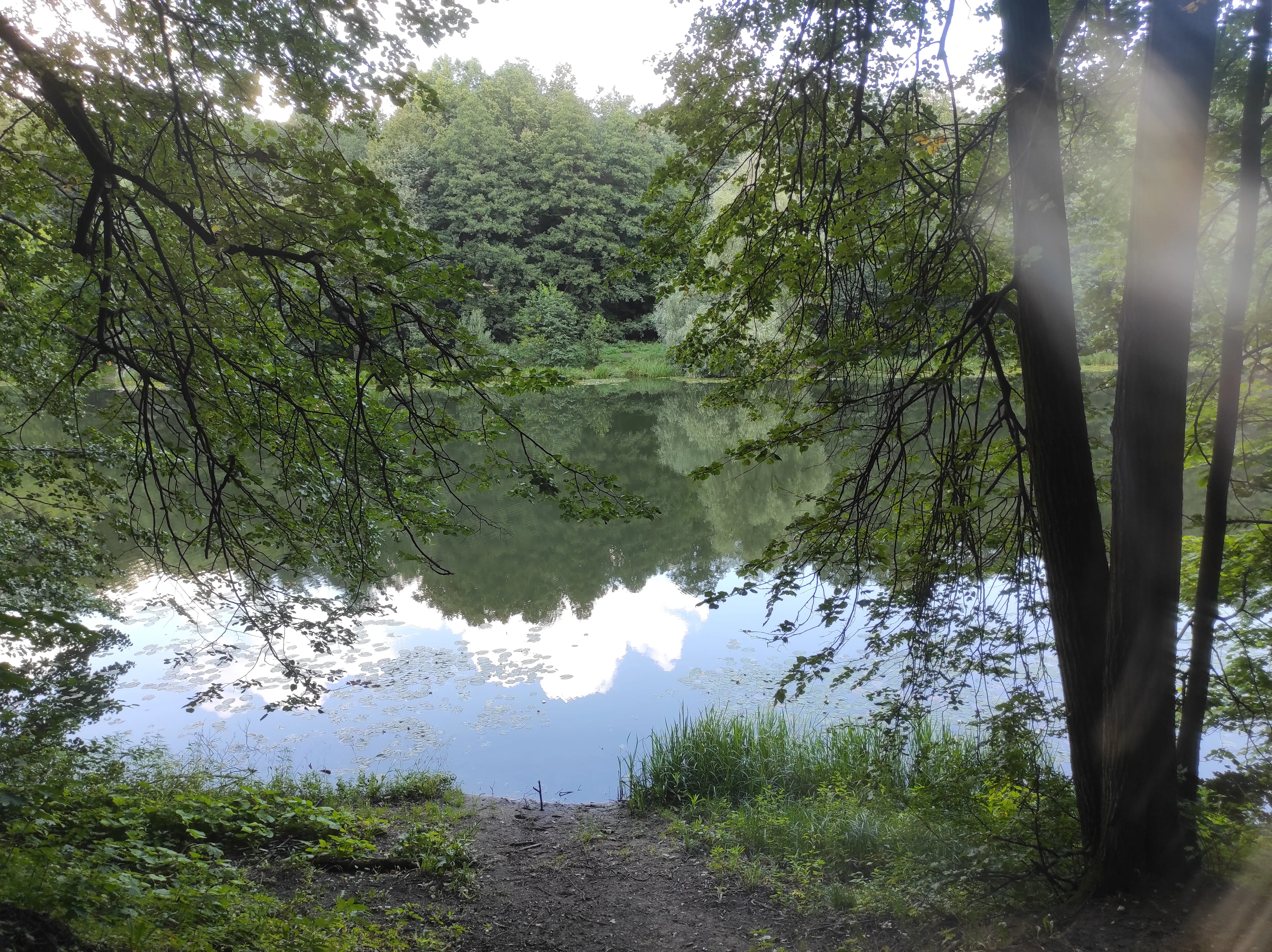 Парк у озера с кувшинками, фото 22