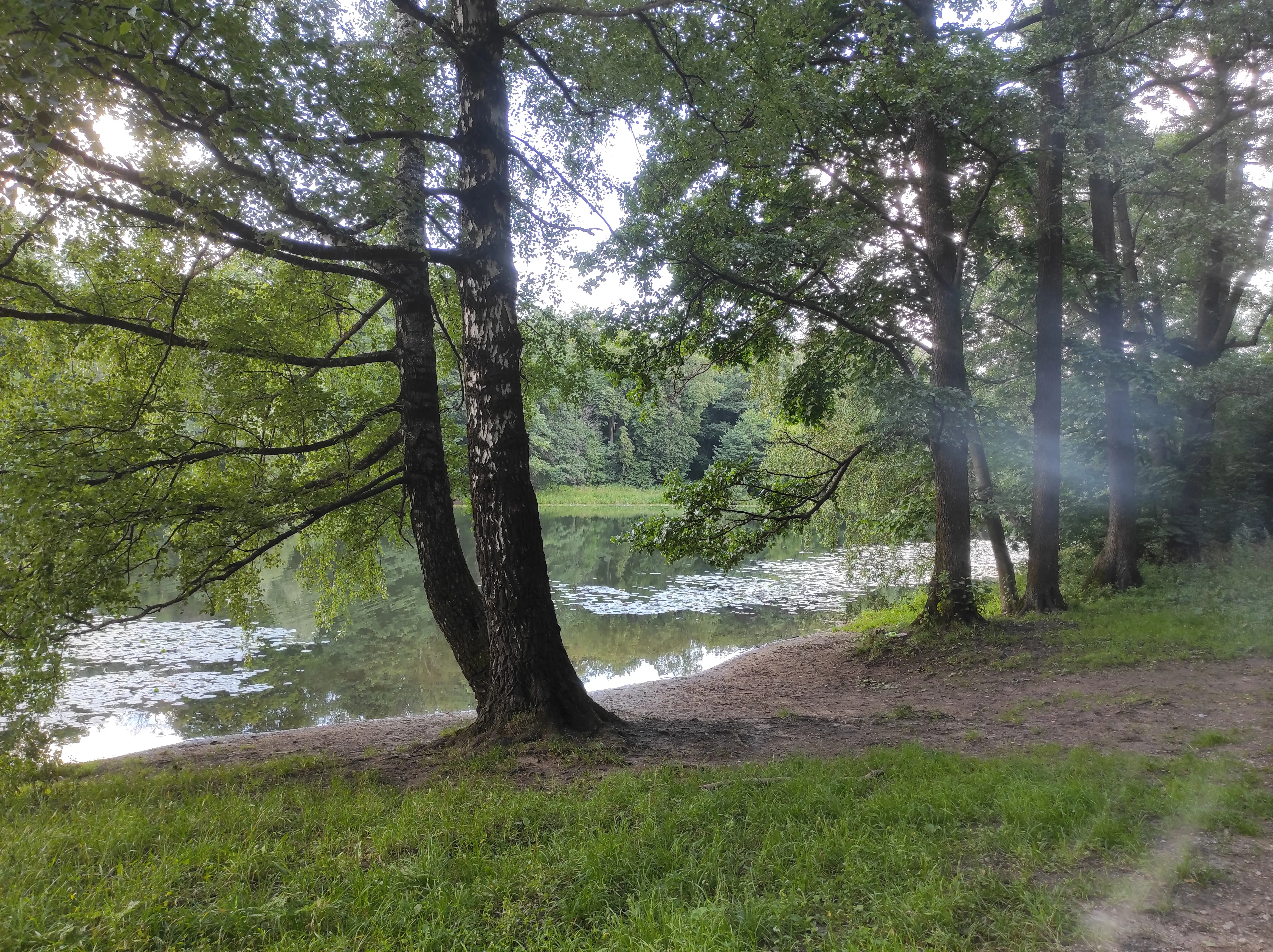 Парк у озера с кувшинками, фото 23