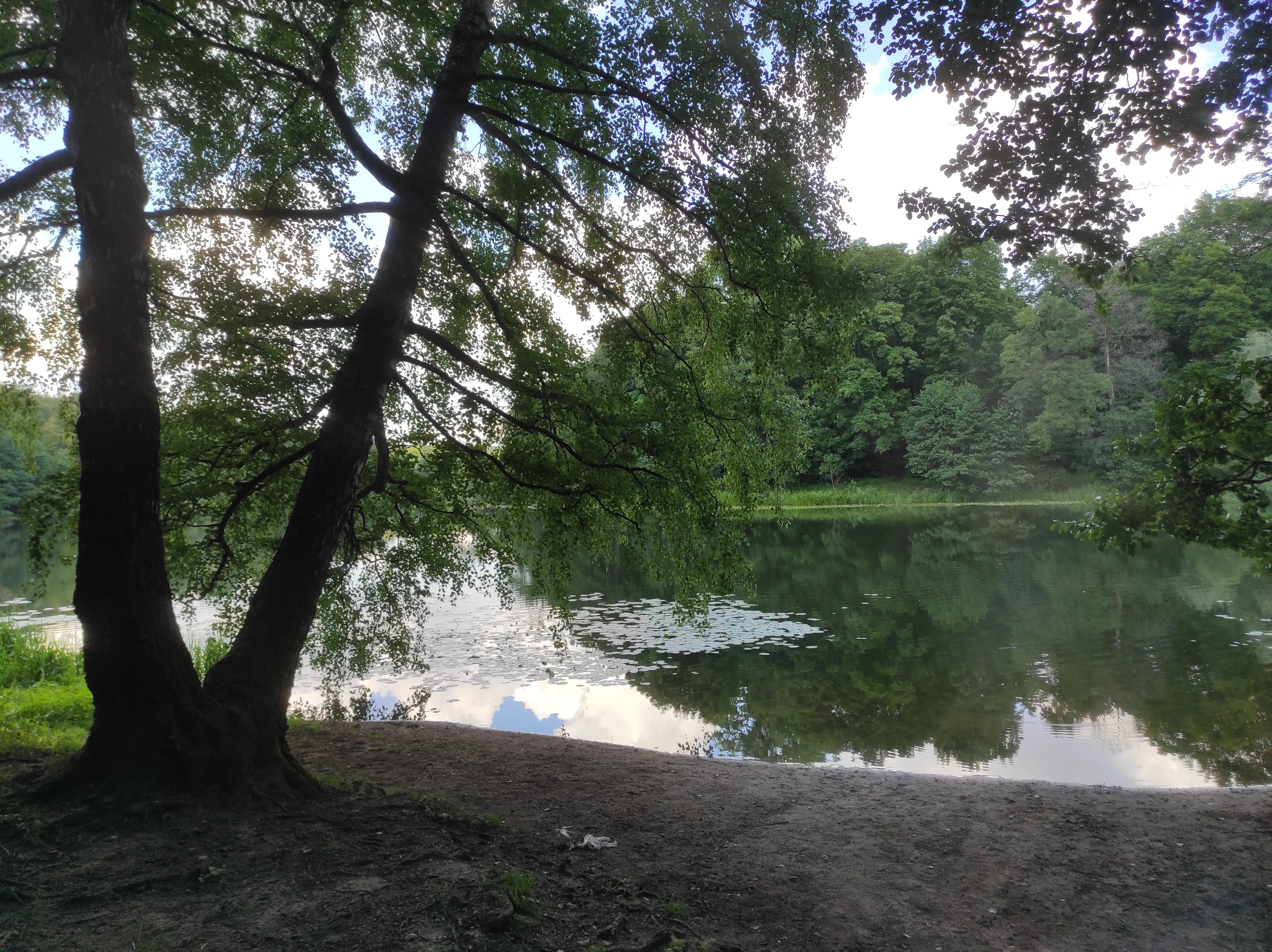 Парк у озера с кувшинками, фото 24