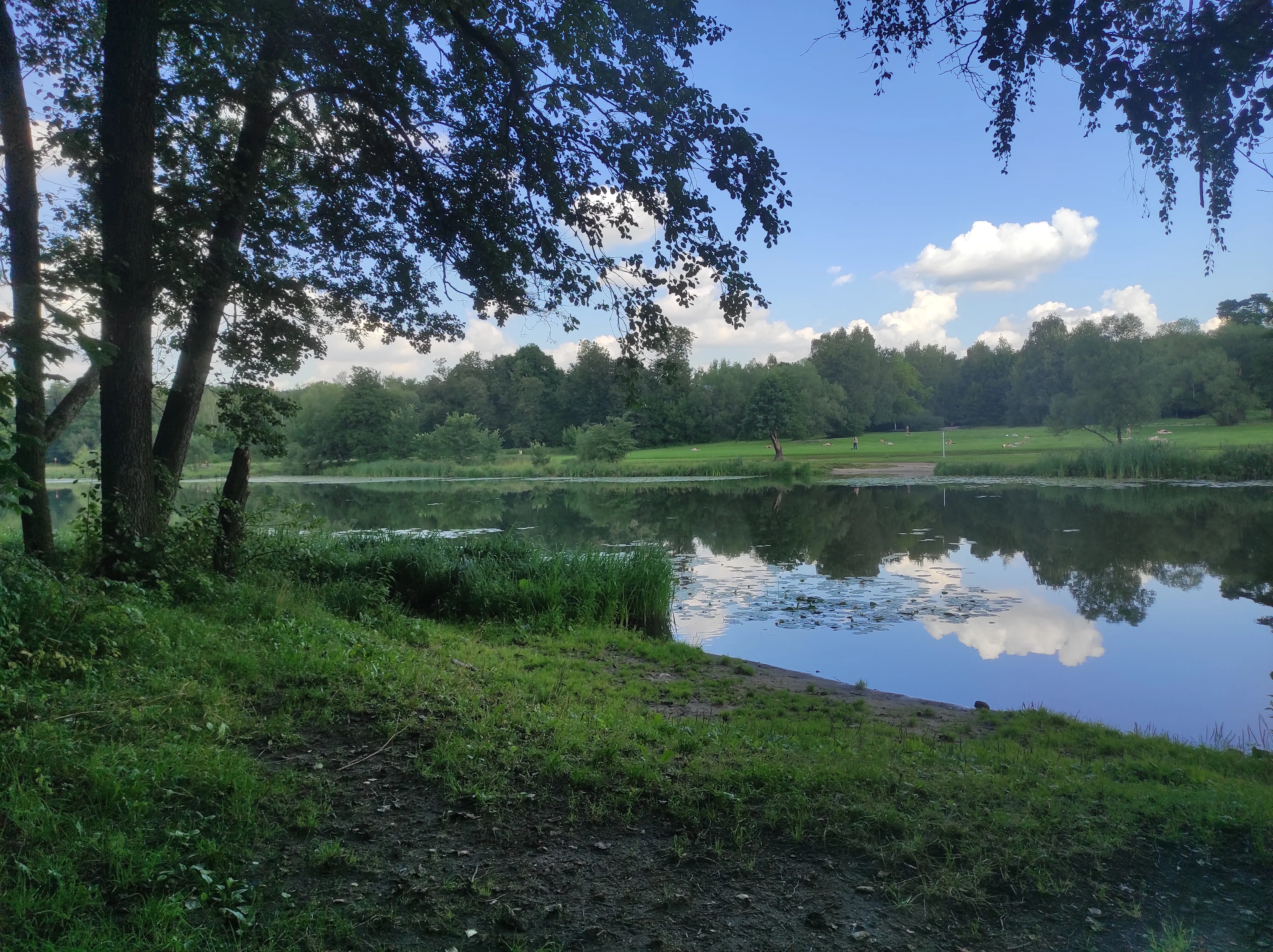 Парк у озера с кувшинками, фото 13