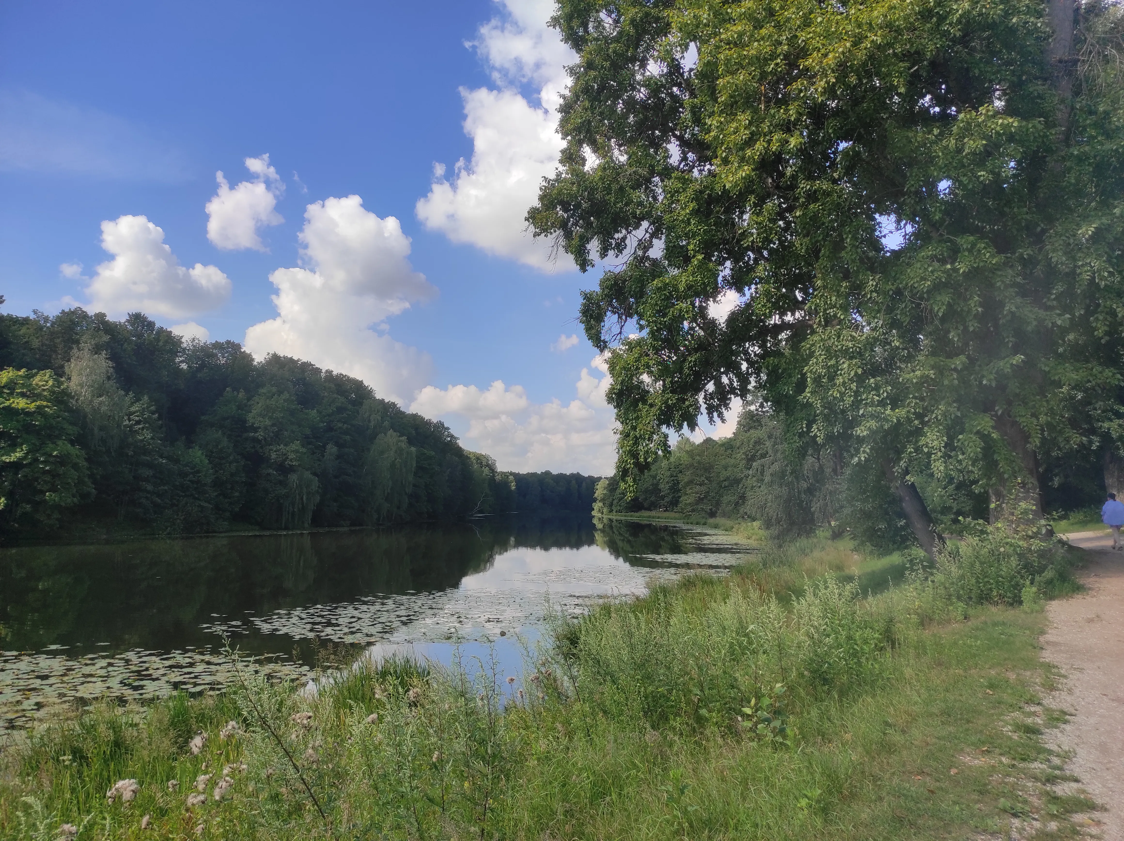 Парк у озера с кувшинками, фото 5