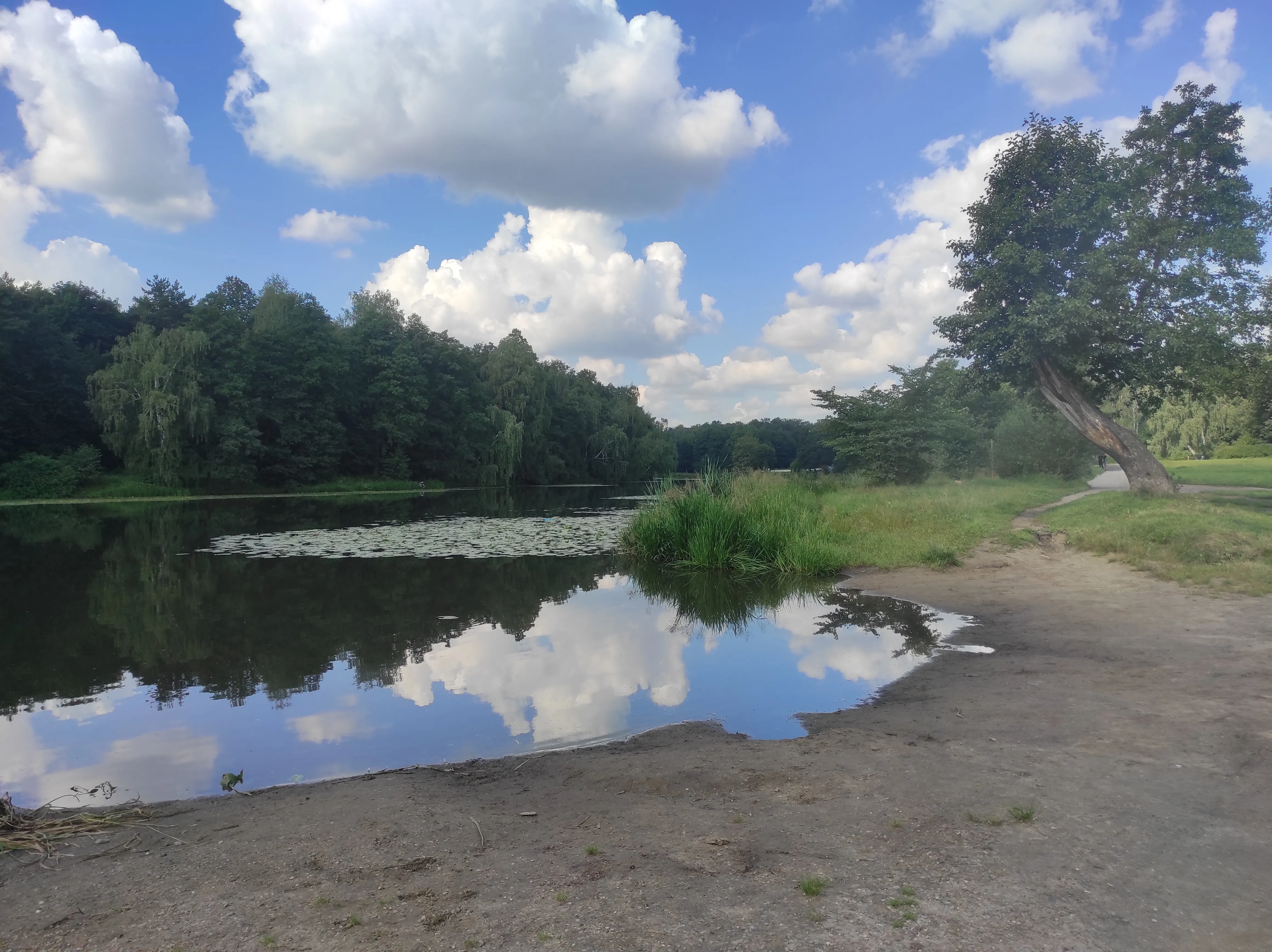 Парк у озера с кувшинками, фото 10