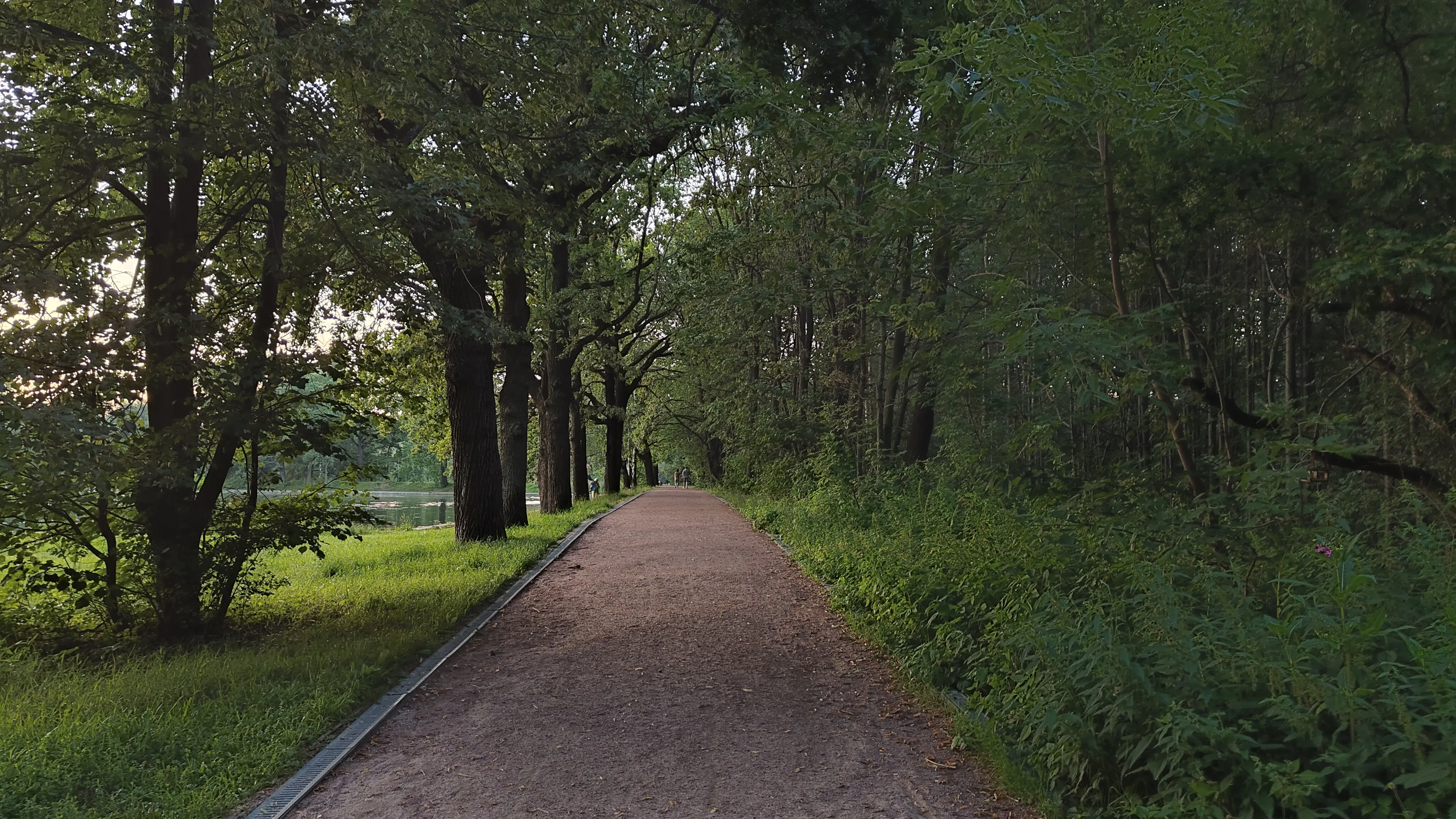 Парк у озера, фото 5