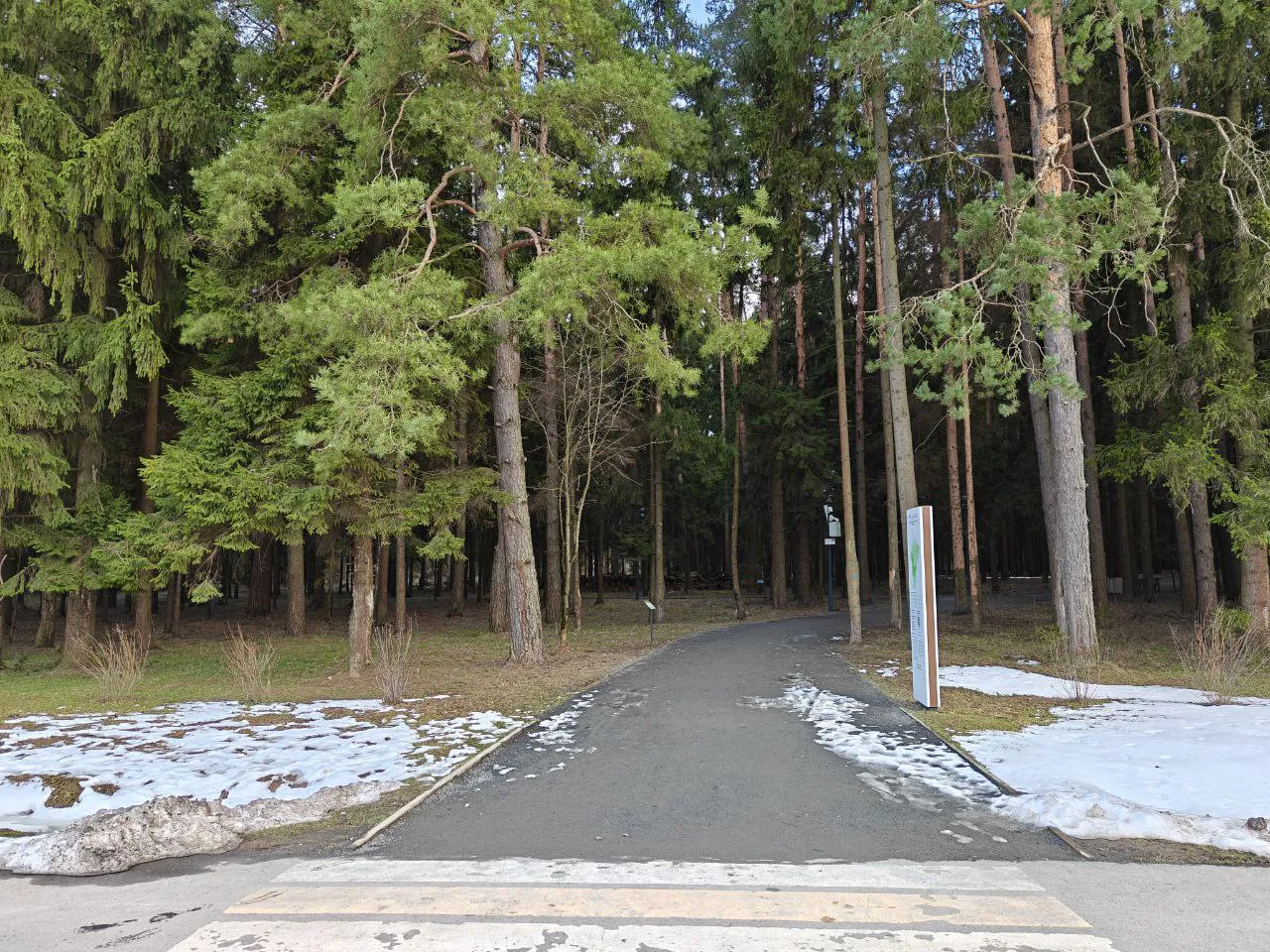 Парк хвойный лес, фото 13