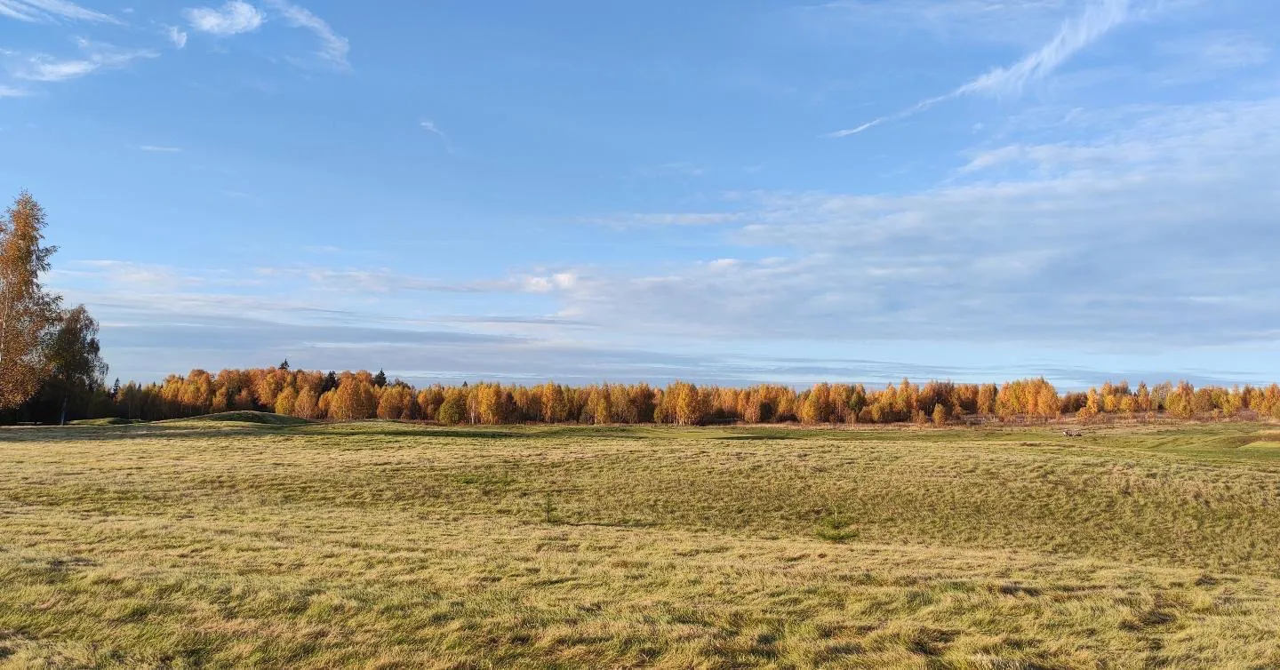 Парк с гольф-полем, фото 14