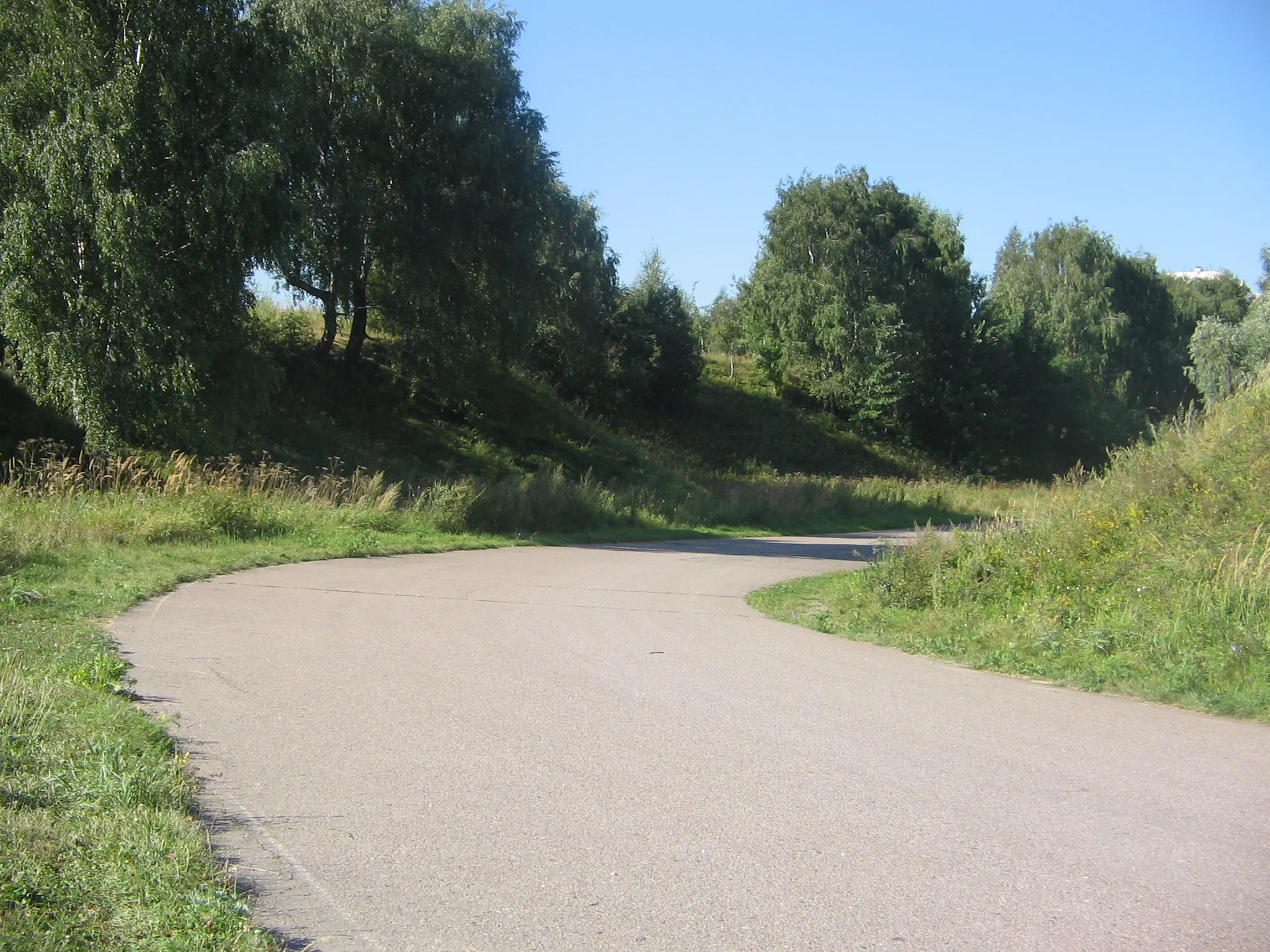 Извилистые дороги парка, фото 1