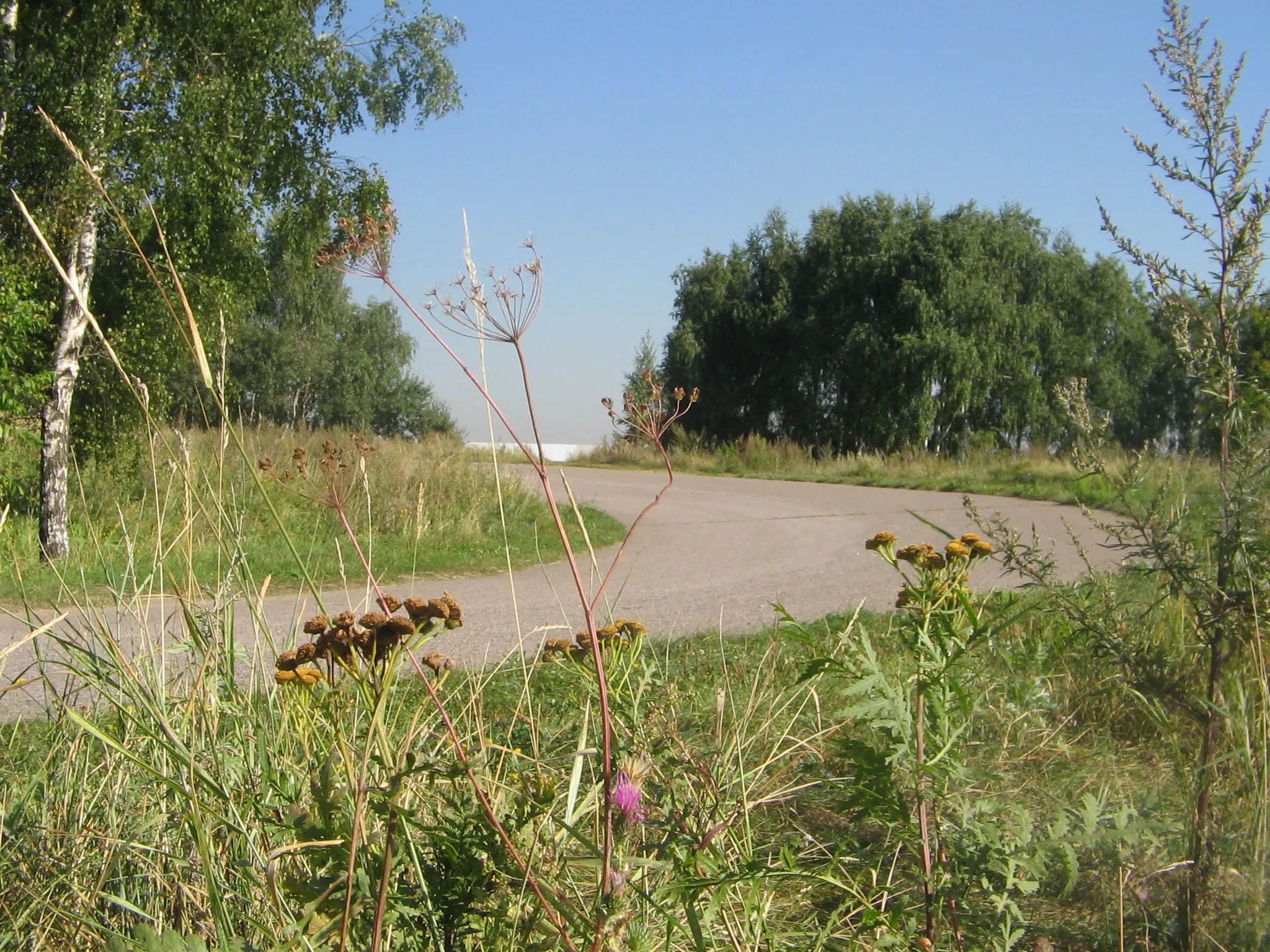 Извилистые дороги парка, фото 10