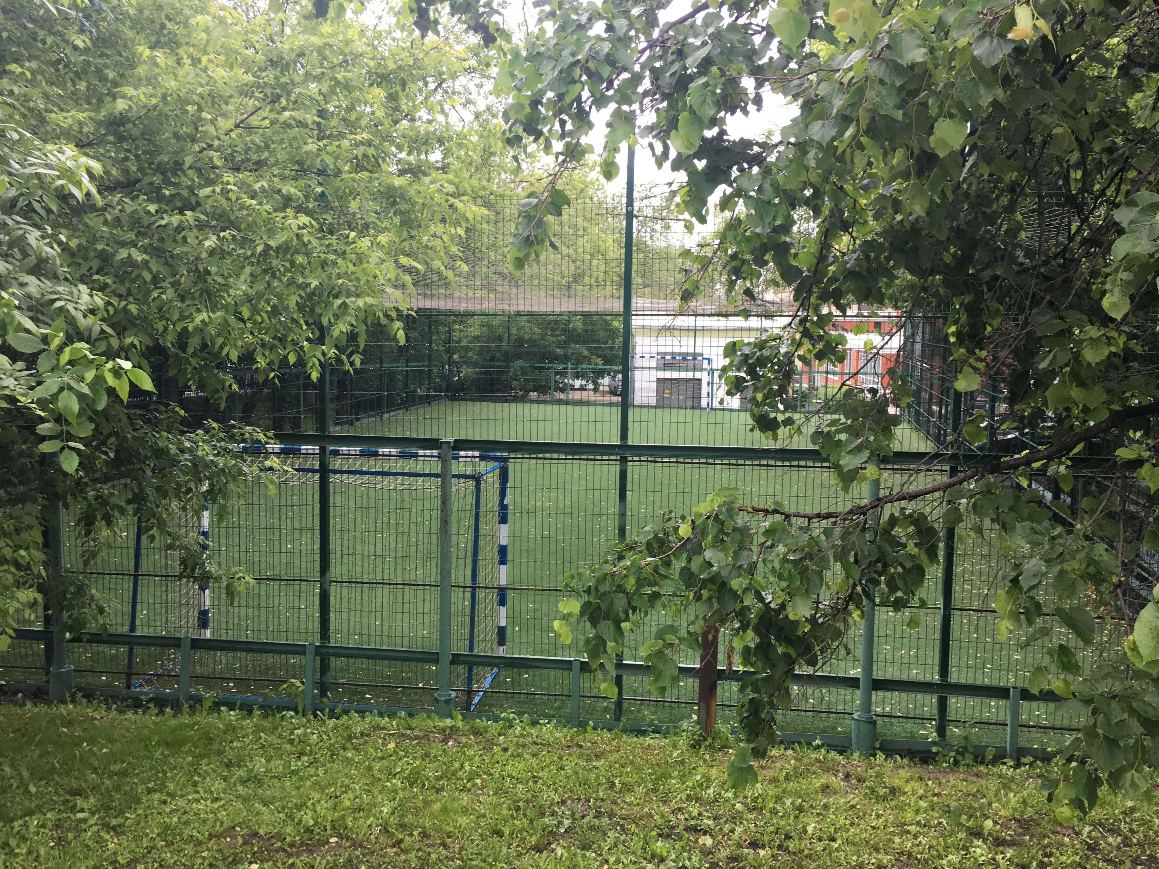 Поле с белыми воротами, фото 1