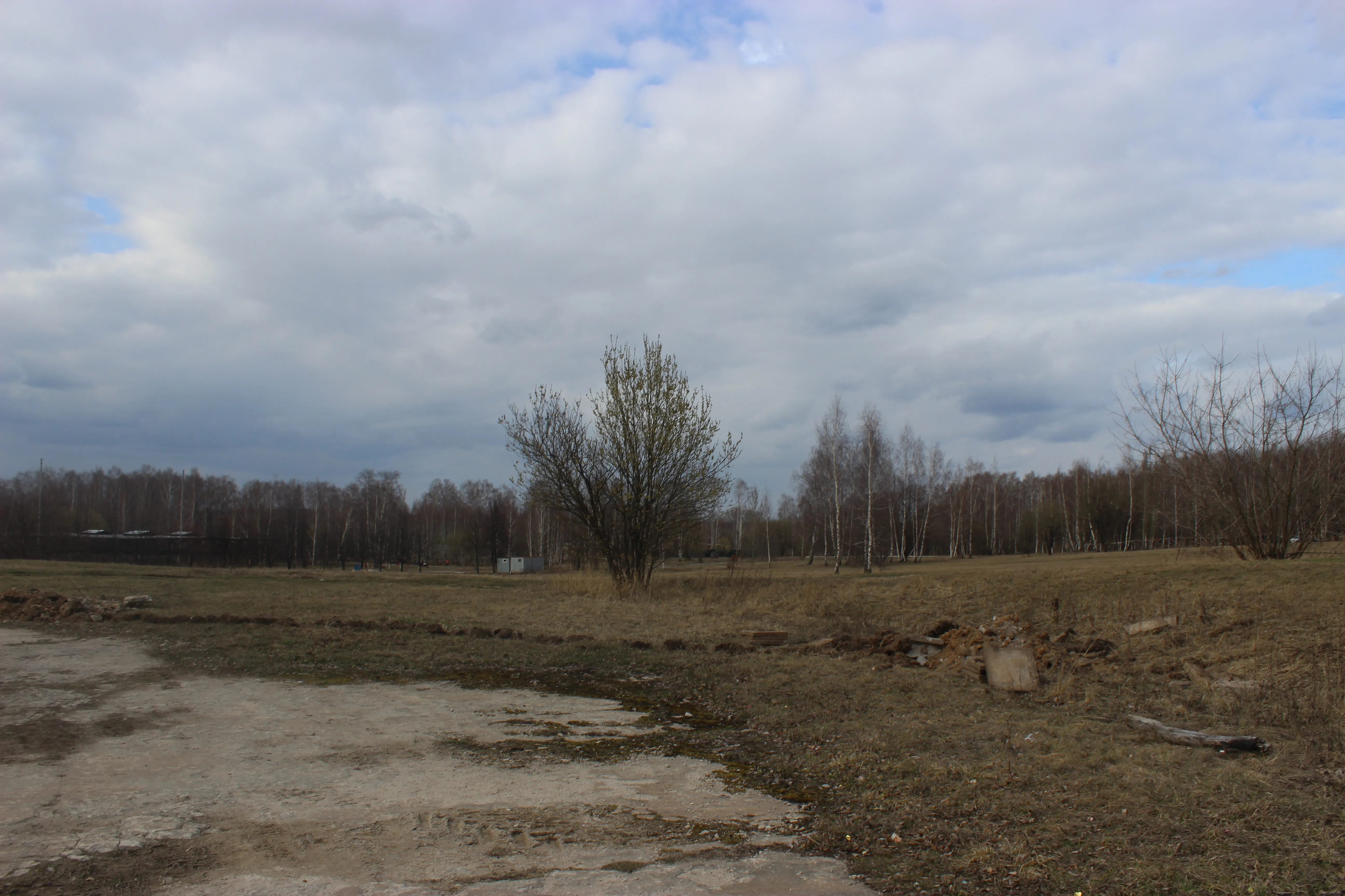 Стадион в окружении леса, фото 11