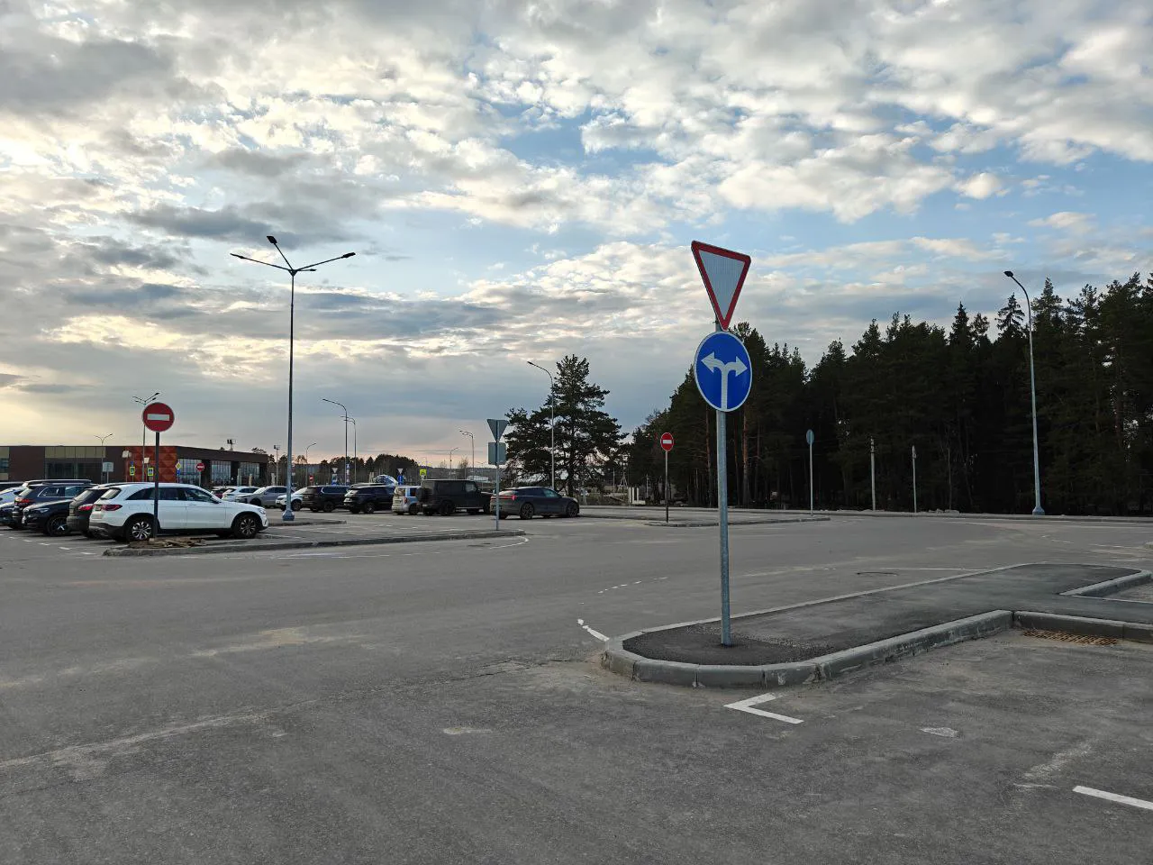 Парковка с лесом, фото 2