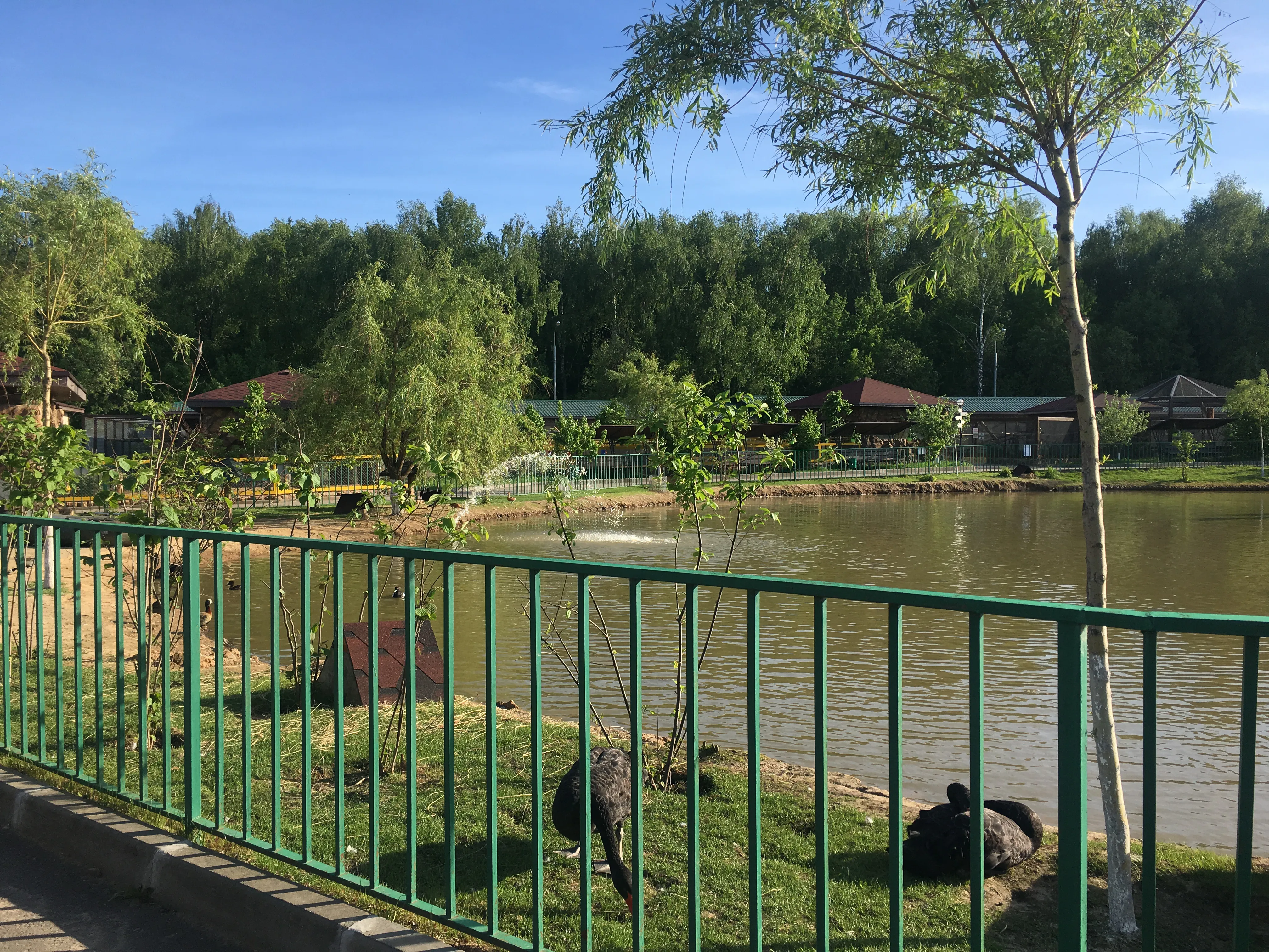 Зоопарк у воды, фото 21