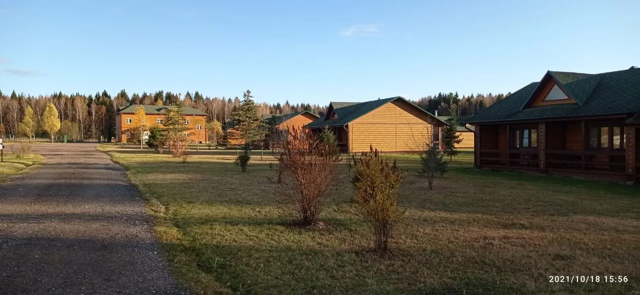 Ряд домиков в лесу, фото 4