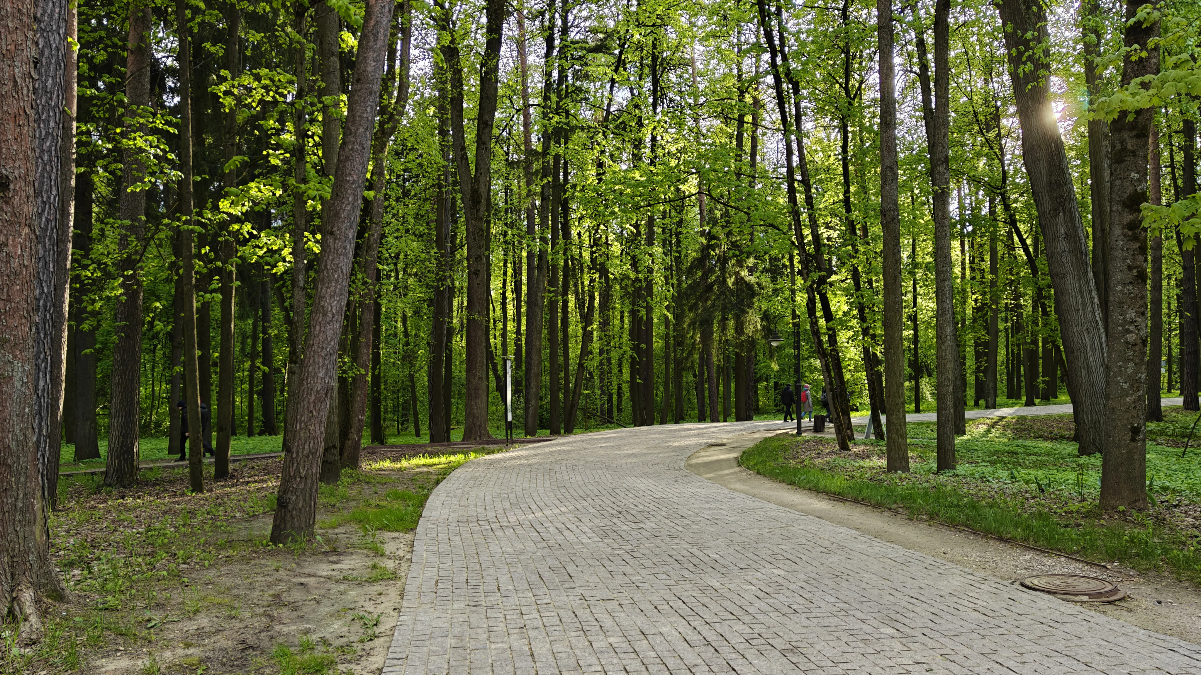 Парк с аллеями, фото 5