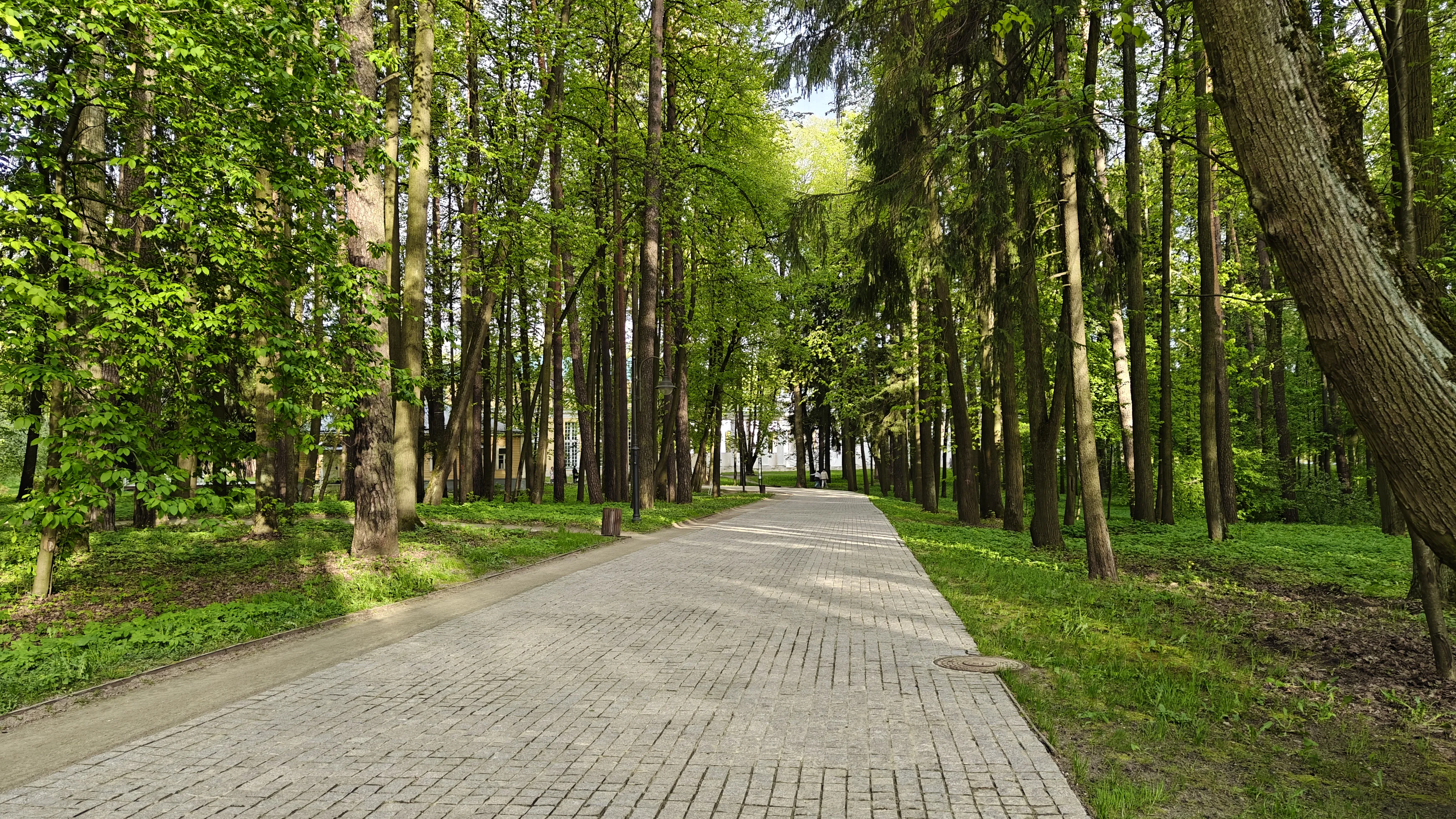 Парк с аллеями, фото 1