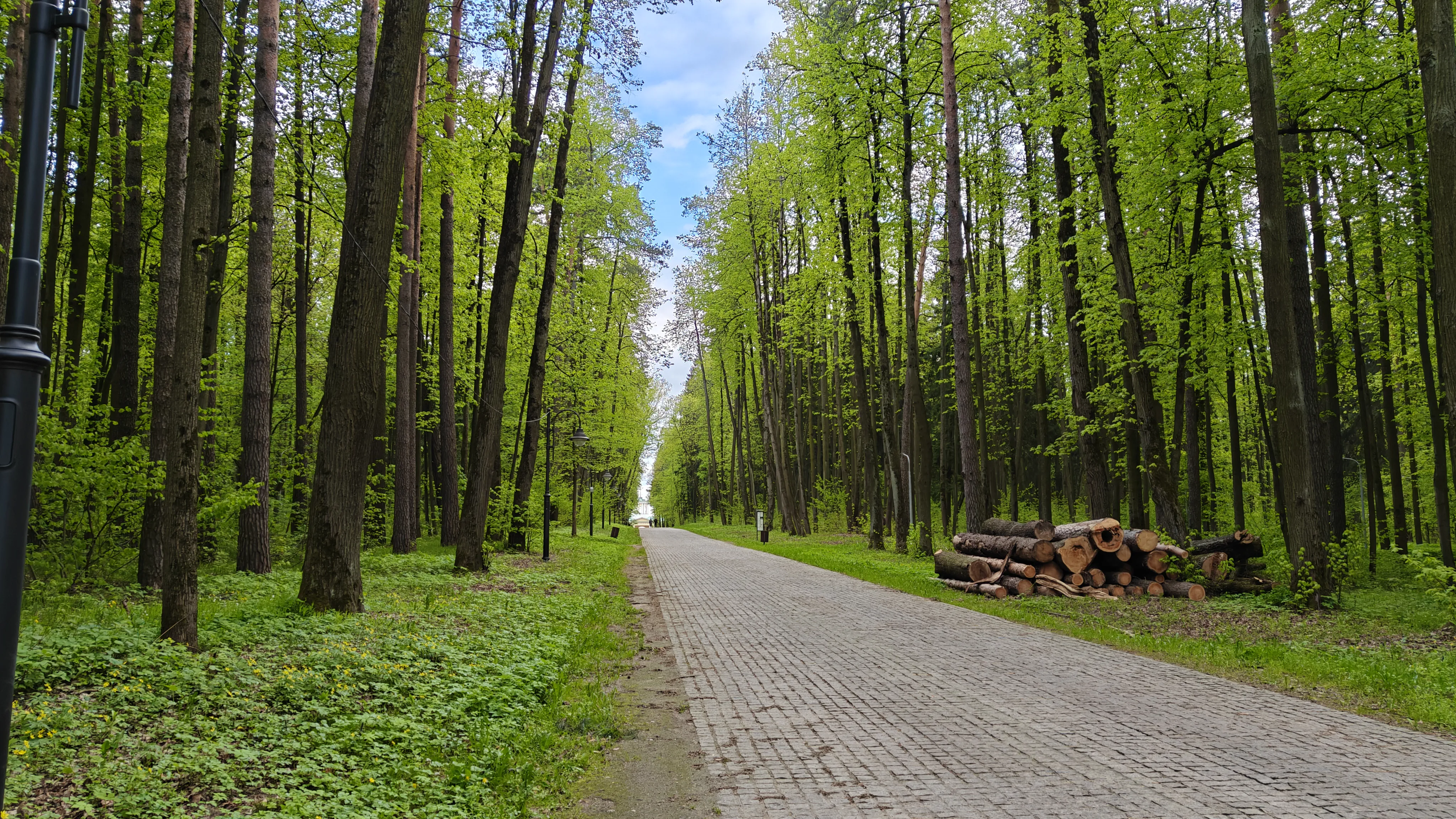 Парк с аллеями, фото 22