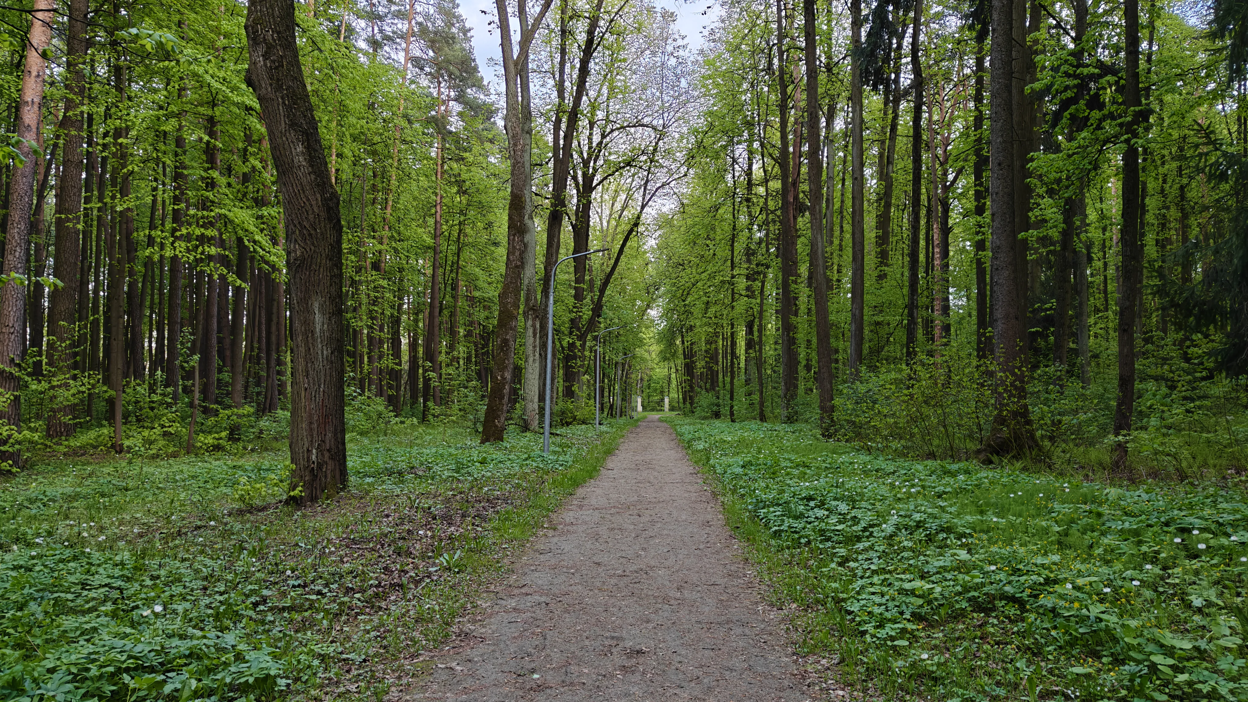 Парк с аллеями, фото 19