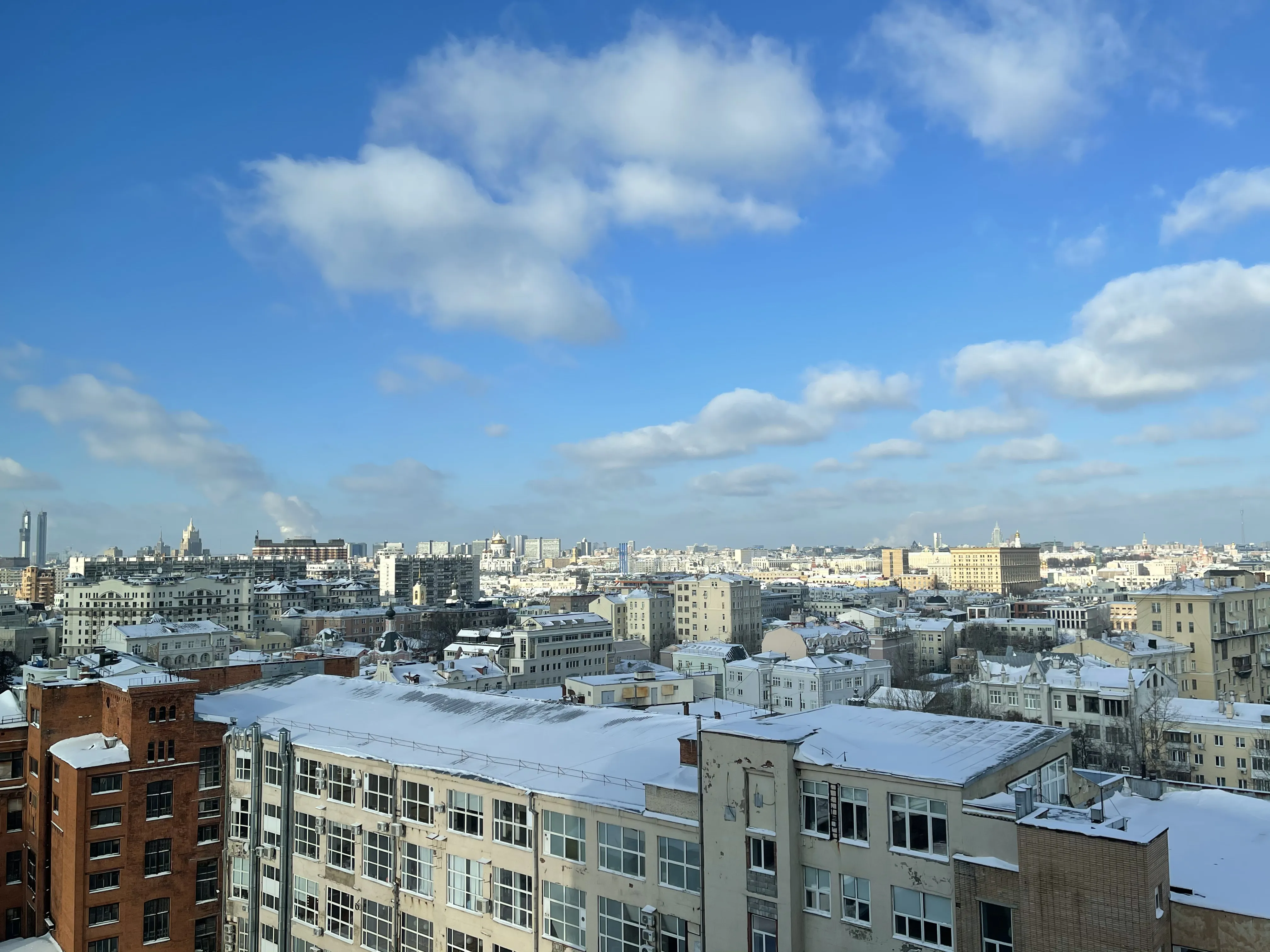 Переговорная: Дерево и Небо, фото 1