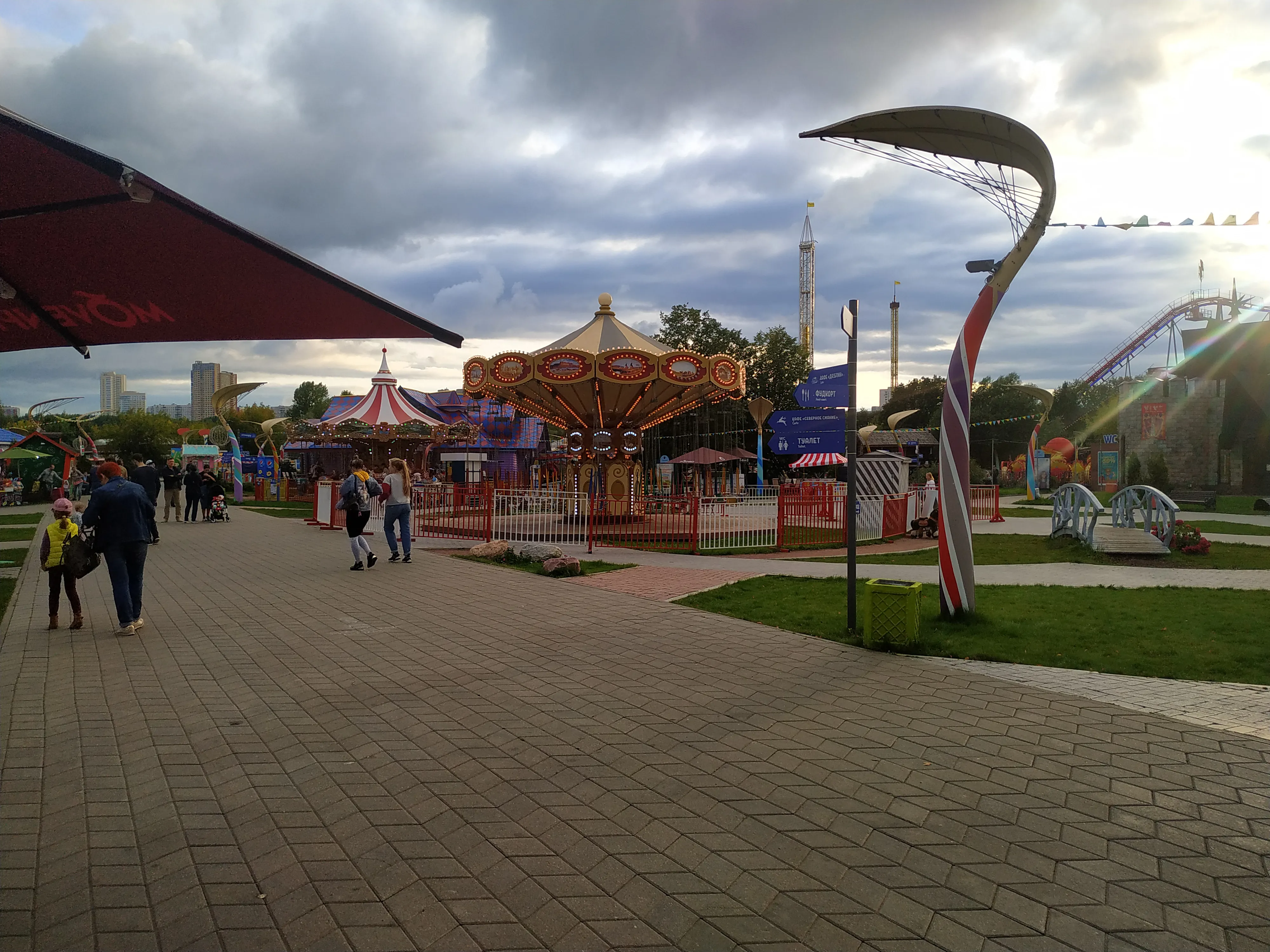 Колесо обозрения в парке, фото 18