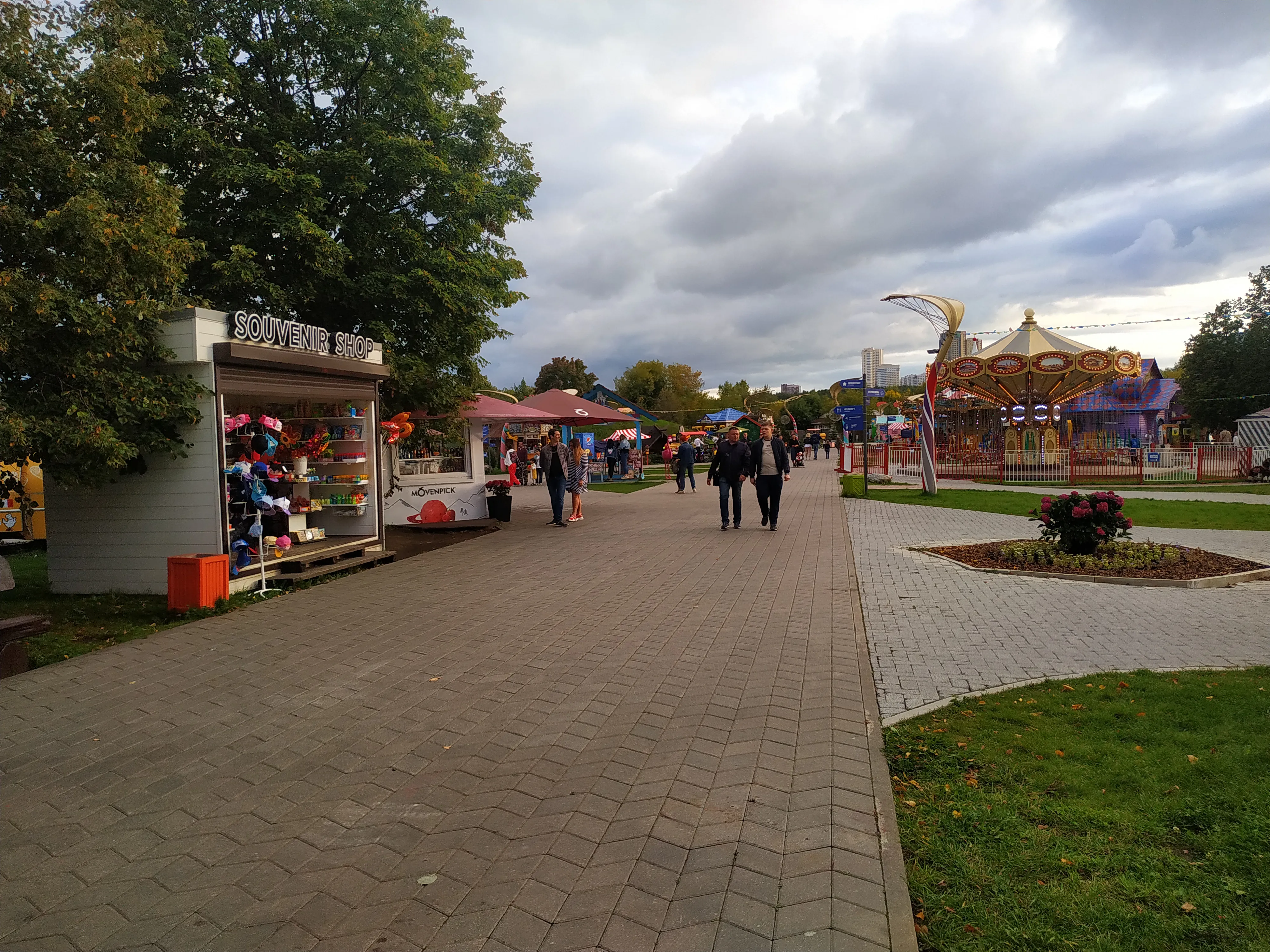 Колесо обозрения в парке, фото 16