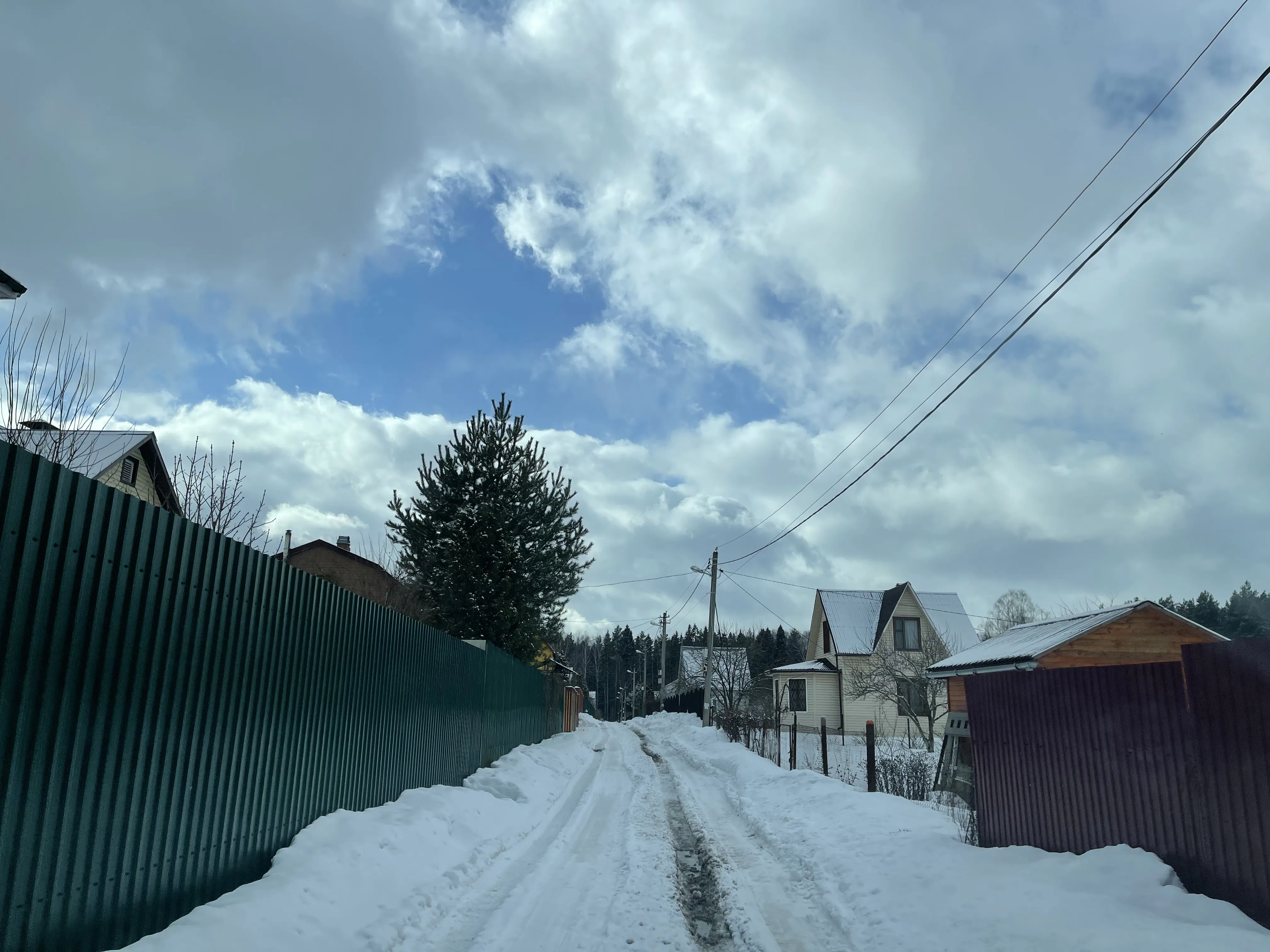 Зимняя дорога в лес, фото 7