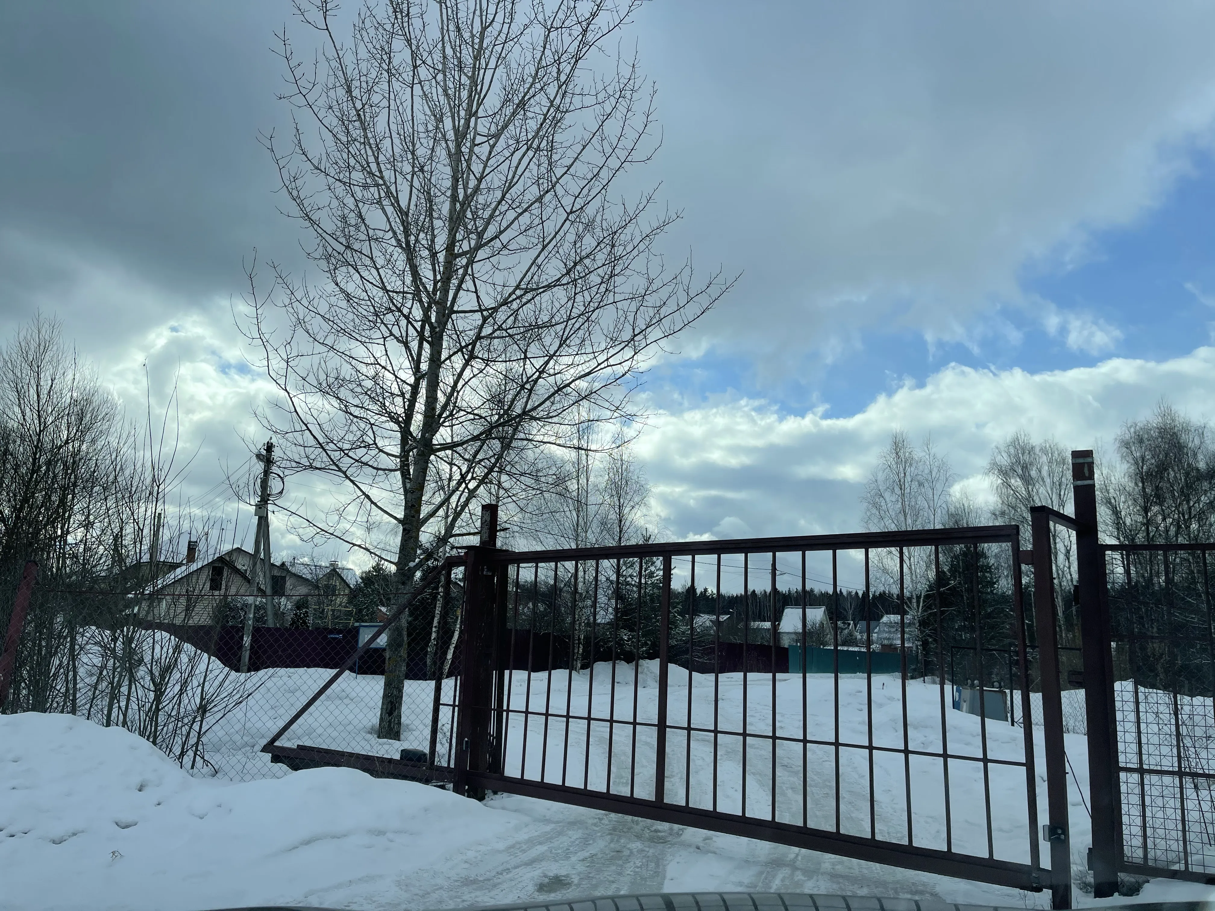 Зимняя дорога в лес, фото 6