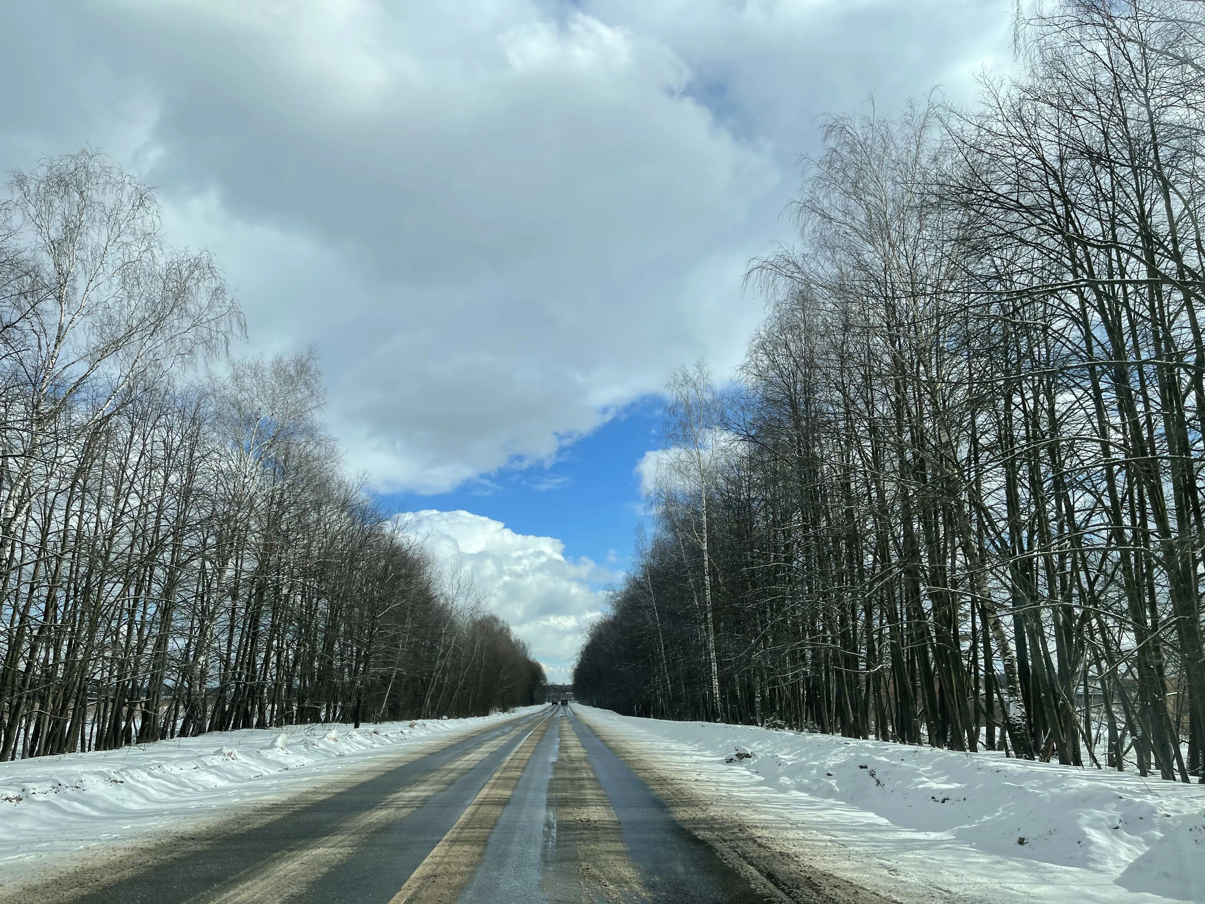 Зимняя дорога в лес, фото 3
