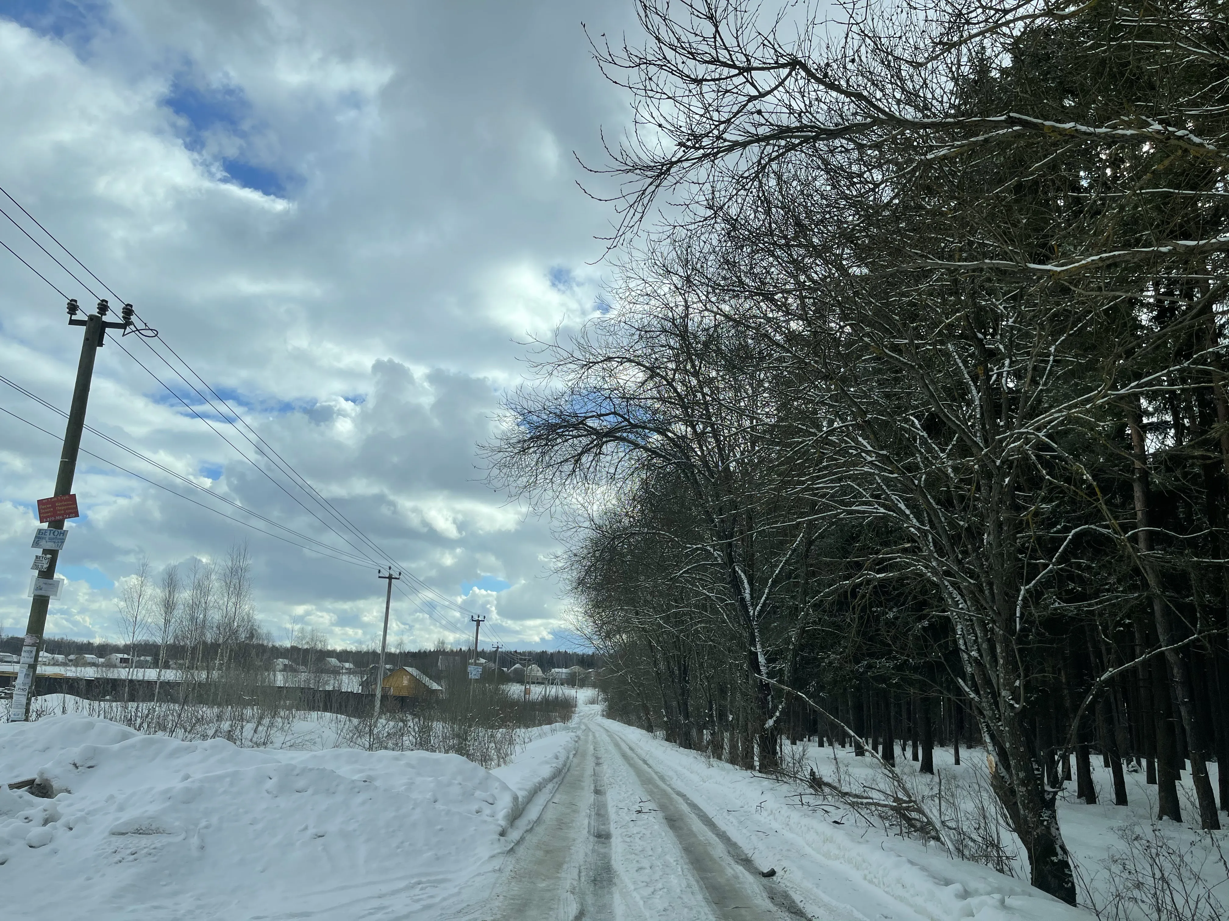 Зимняя дорога в лес, фото 4