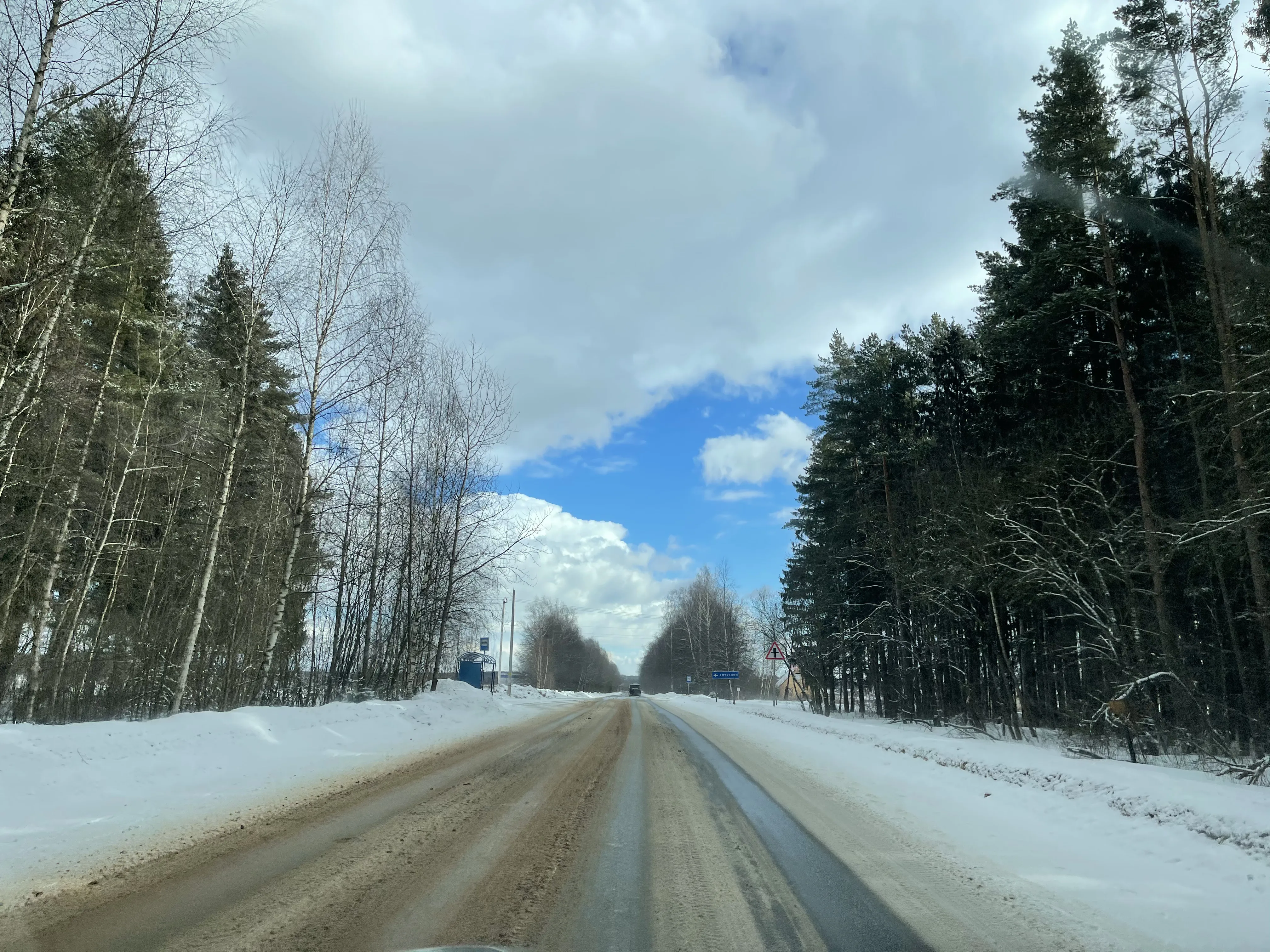 Зимняя дорога в лес, фото 1