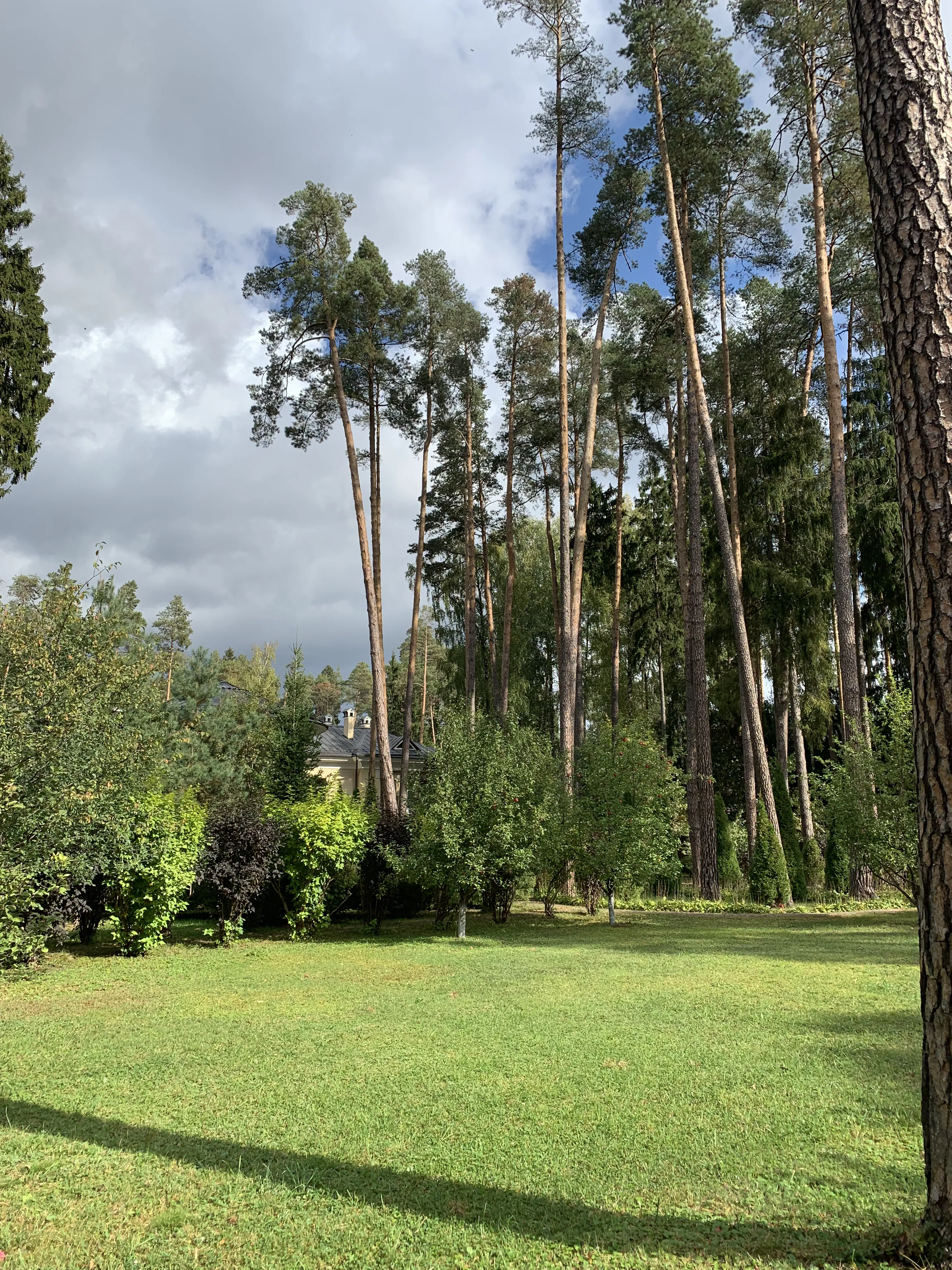 Усадьба с колоннами, фото 23