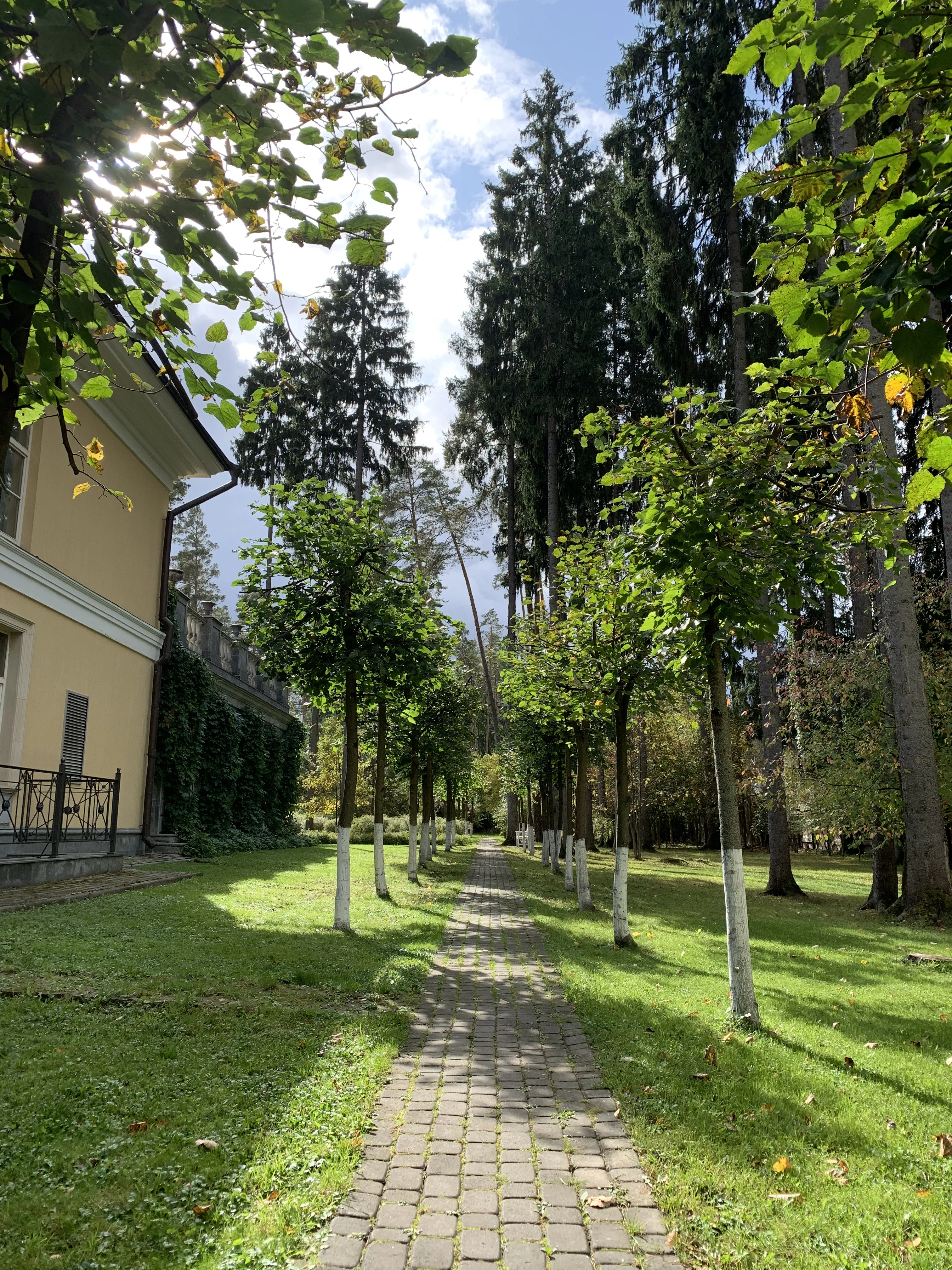 Усадьба с колоннами, фото 19
