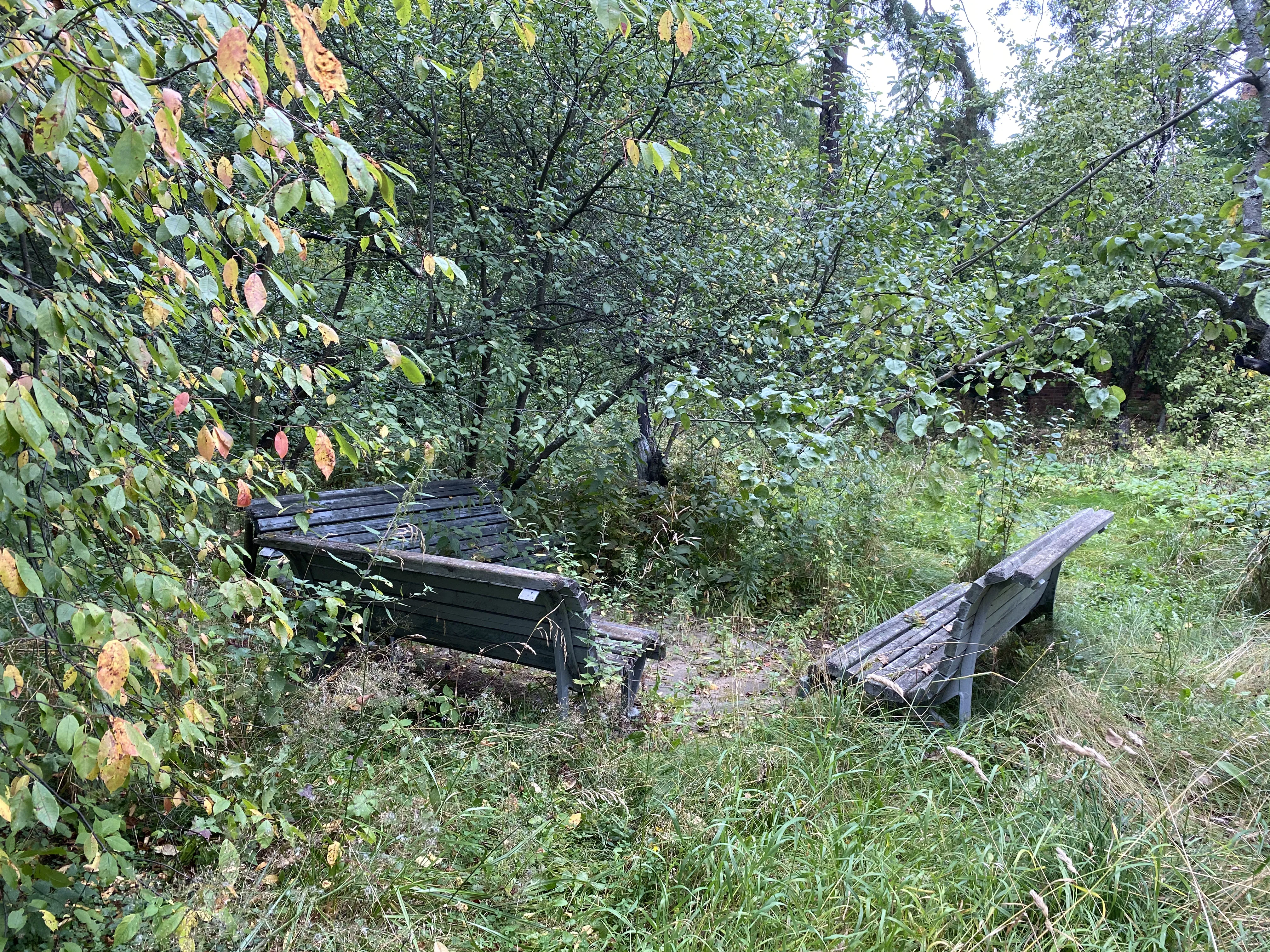 Дача с обсерваторией, фото 5