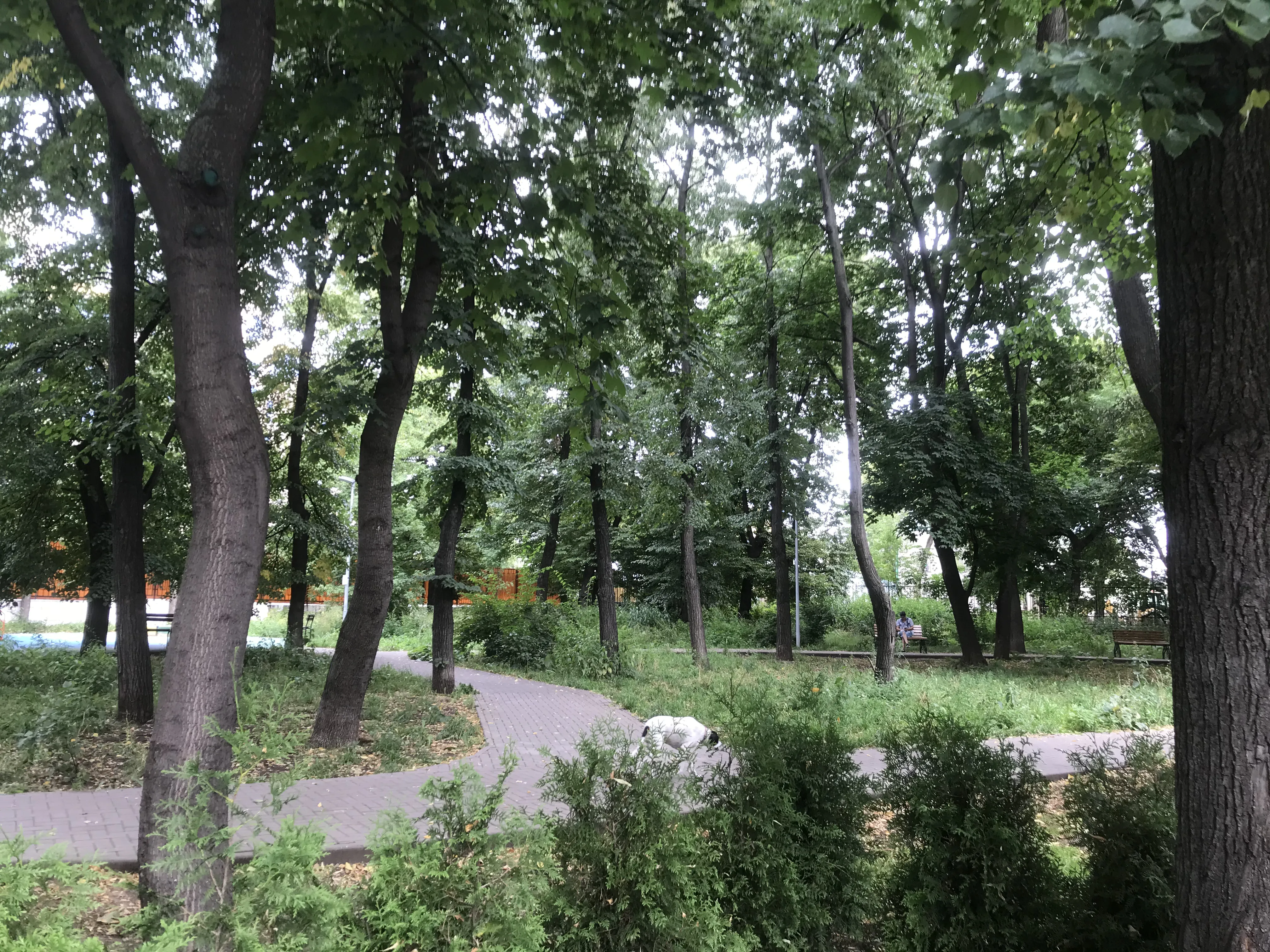 Белый офис на колоннах, фото 22