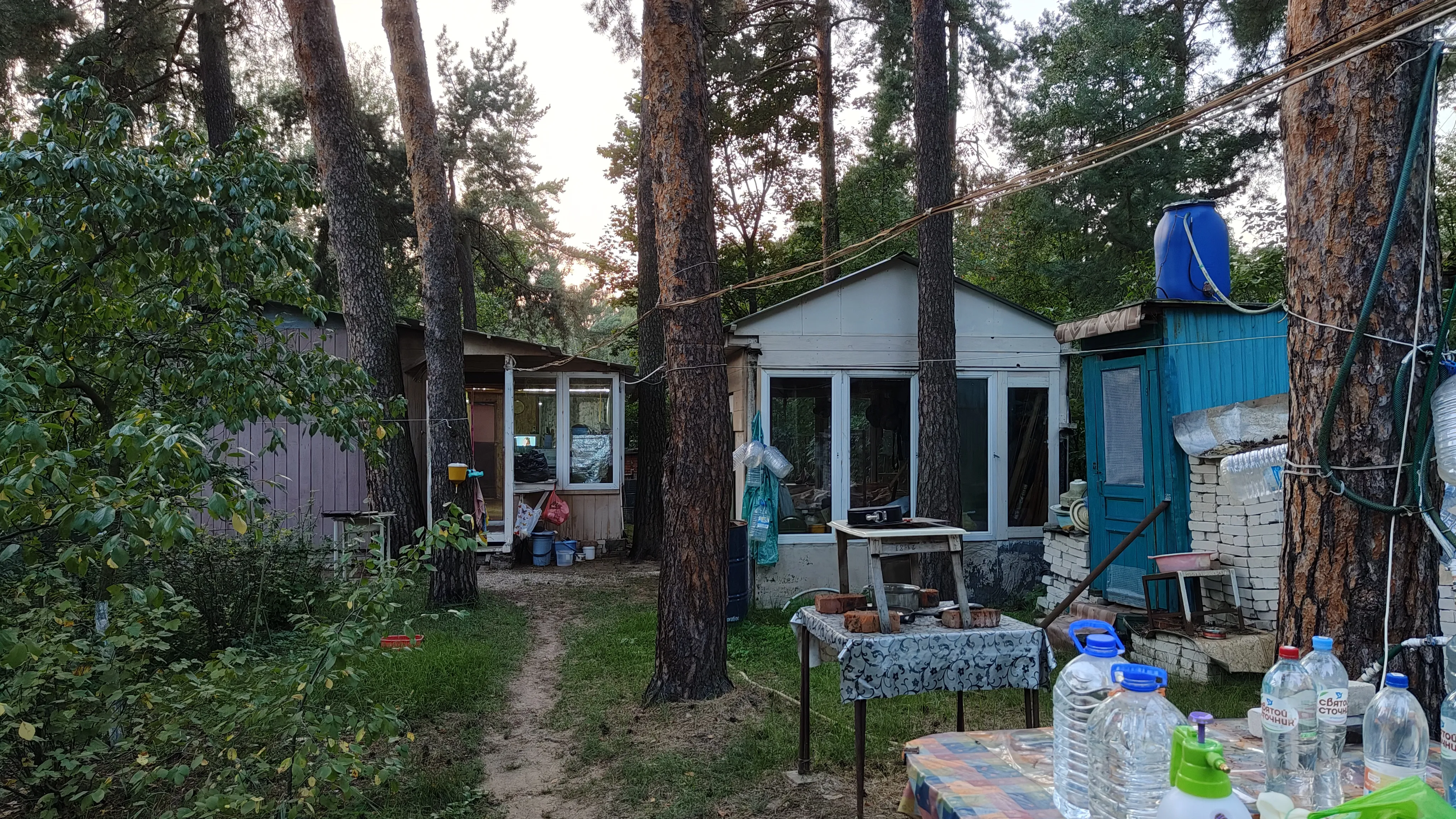 Зелёный дом лесника, фото 11