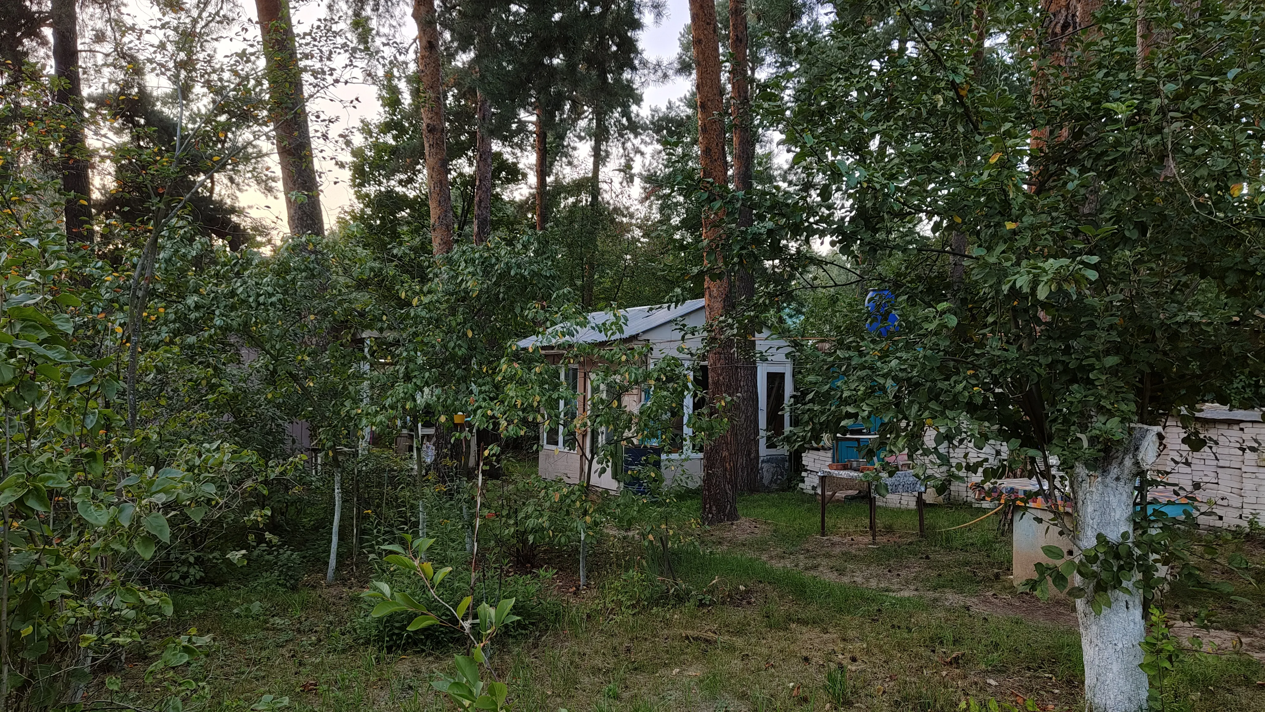 Зелёный дом лесника, фото 5