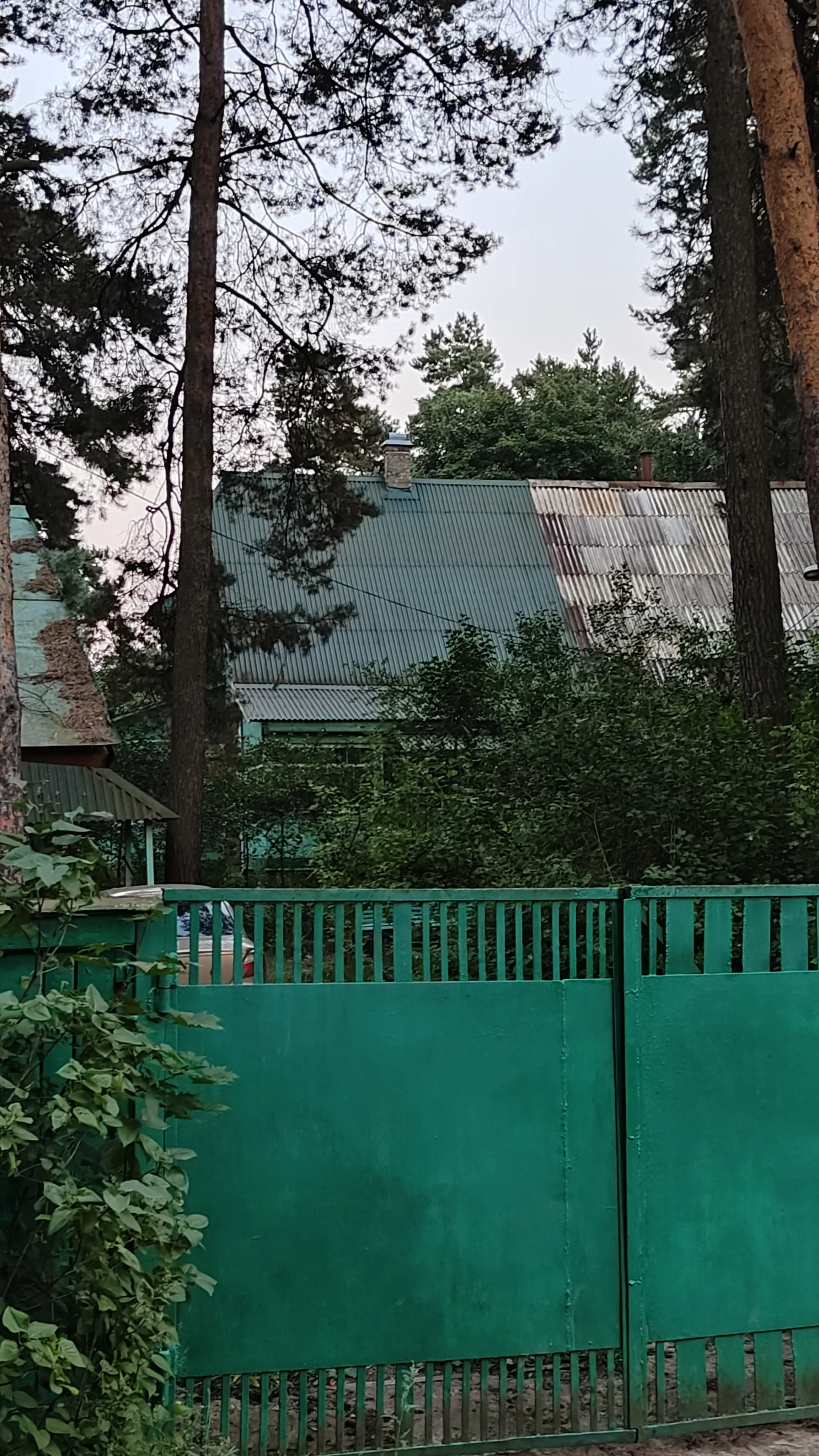 Зелёный дом лесника, фото 13