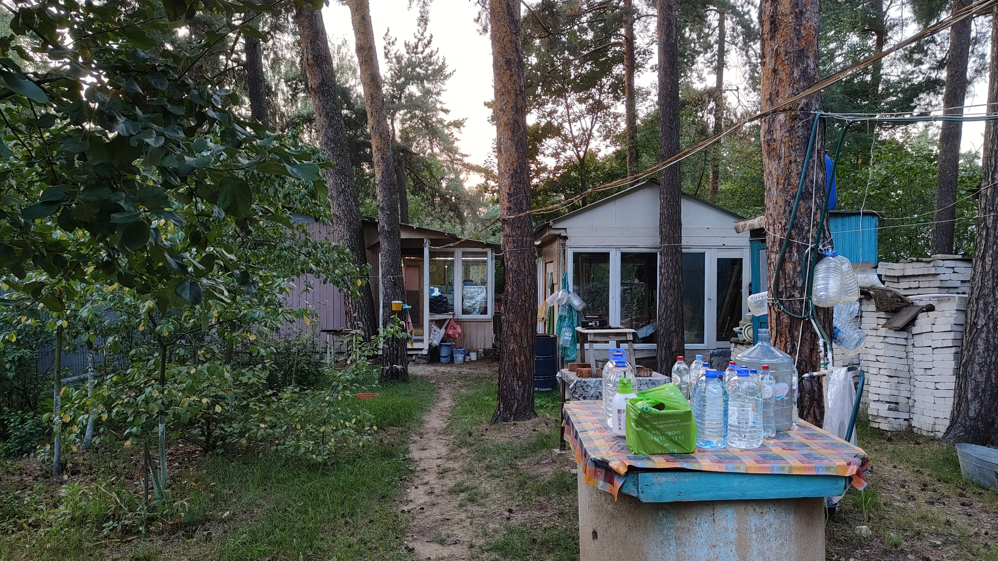 Зелёный дом лесника, фото 10