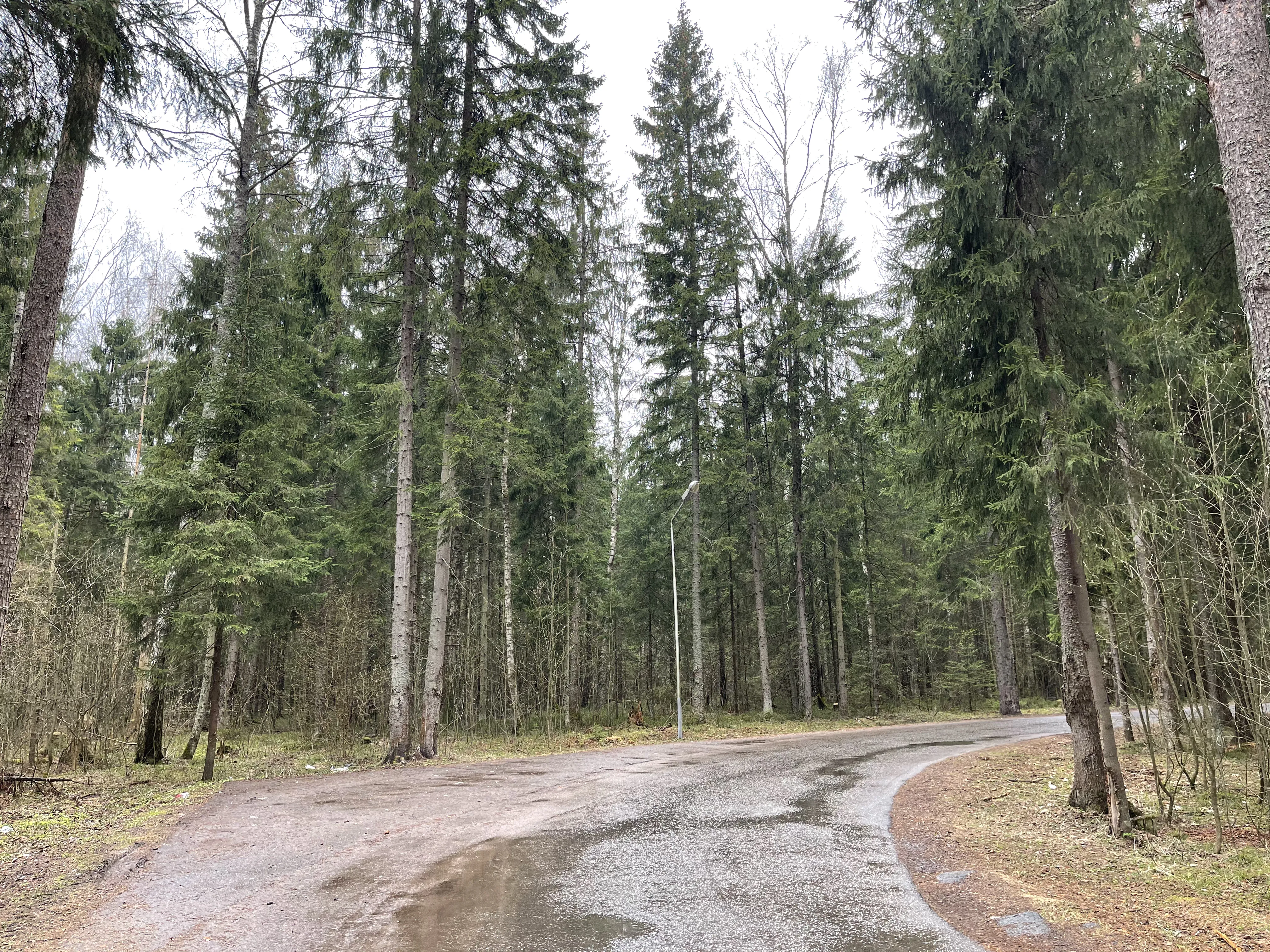Дача Камня и Елей, фото 5