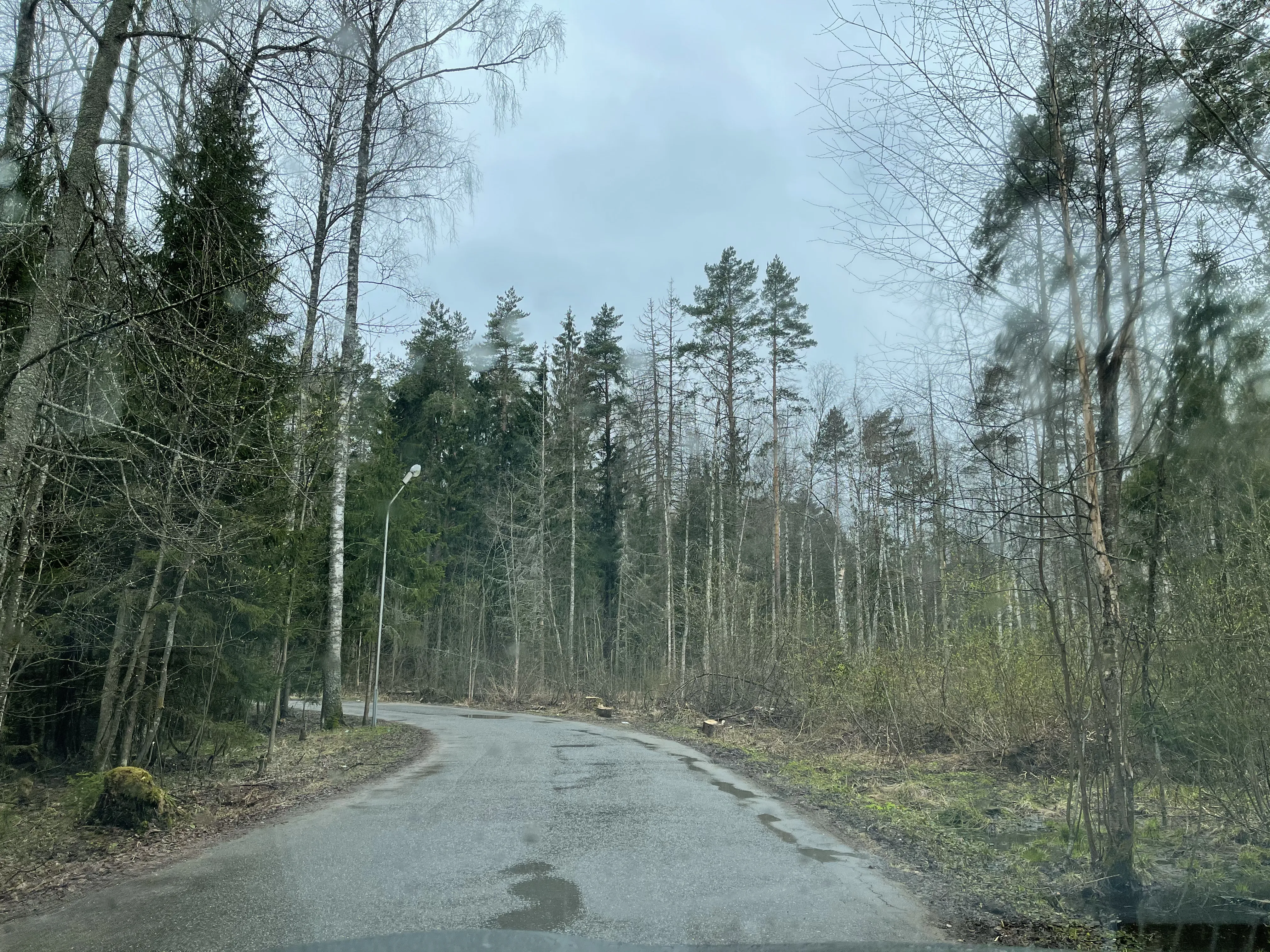 Дача Камня и Елей, фото 1
